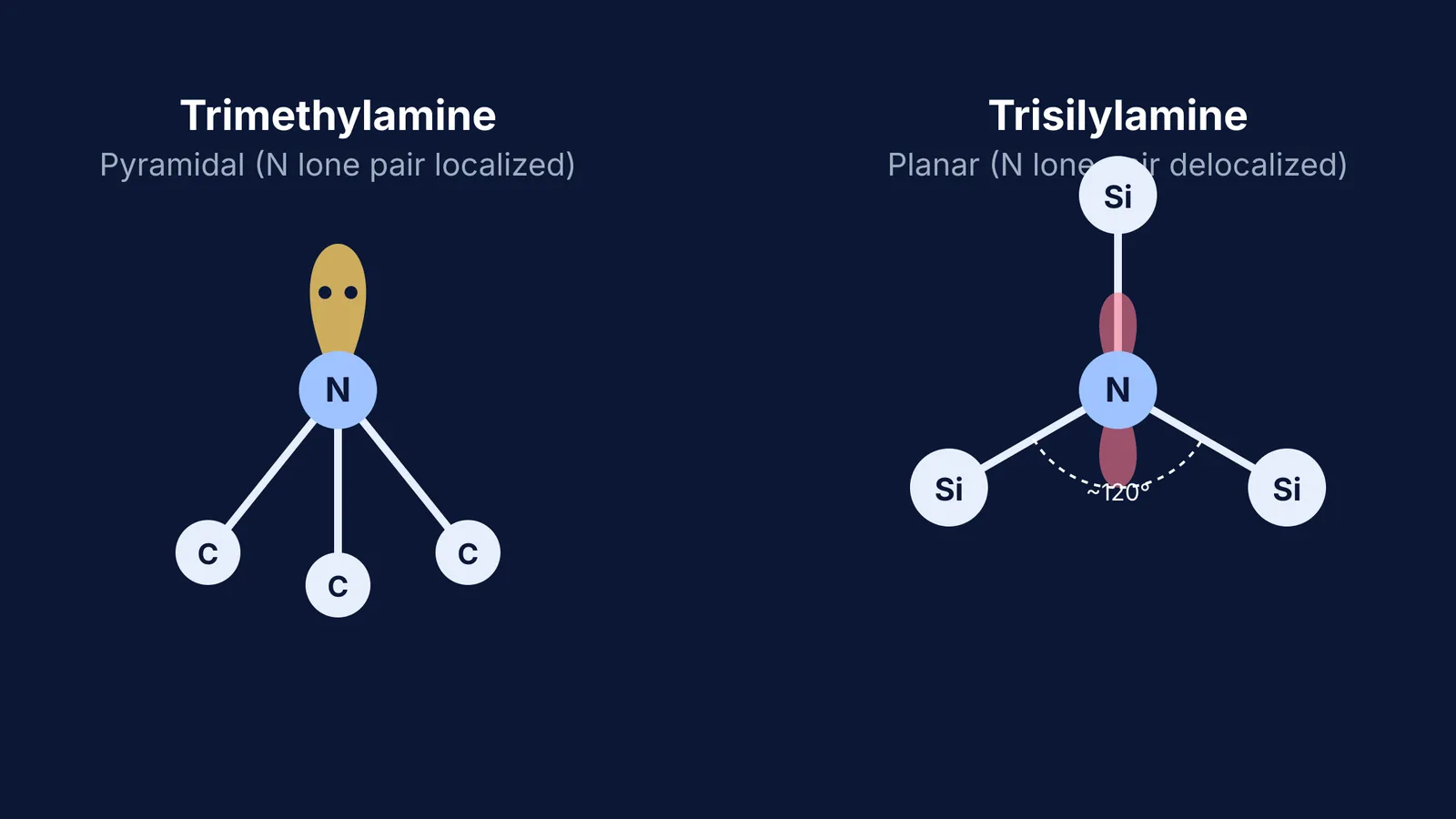 Diagram comparing pyramidal trimethylamine and planar trisilylamine molecular structures