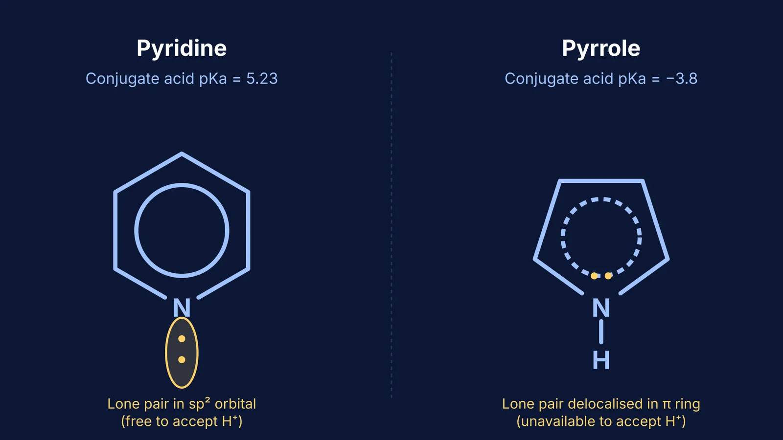 Diagram comparing the molecular structures of pyridine and pyrrole, highlighting the positions of their lone pairs