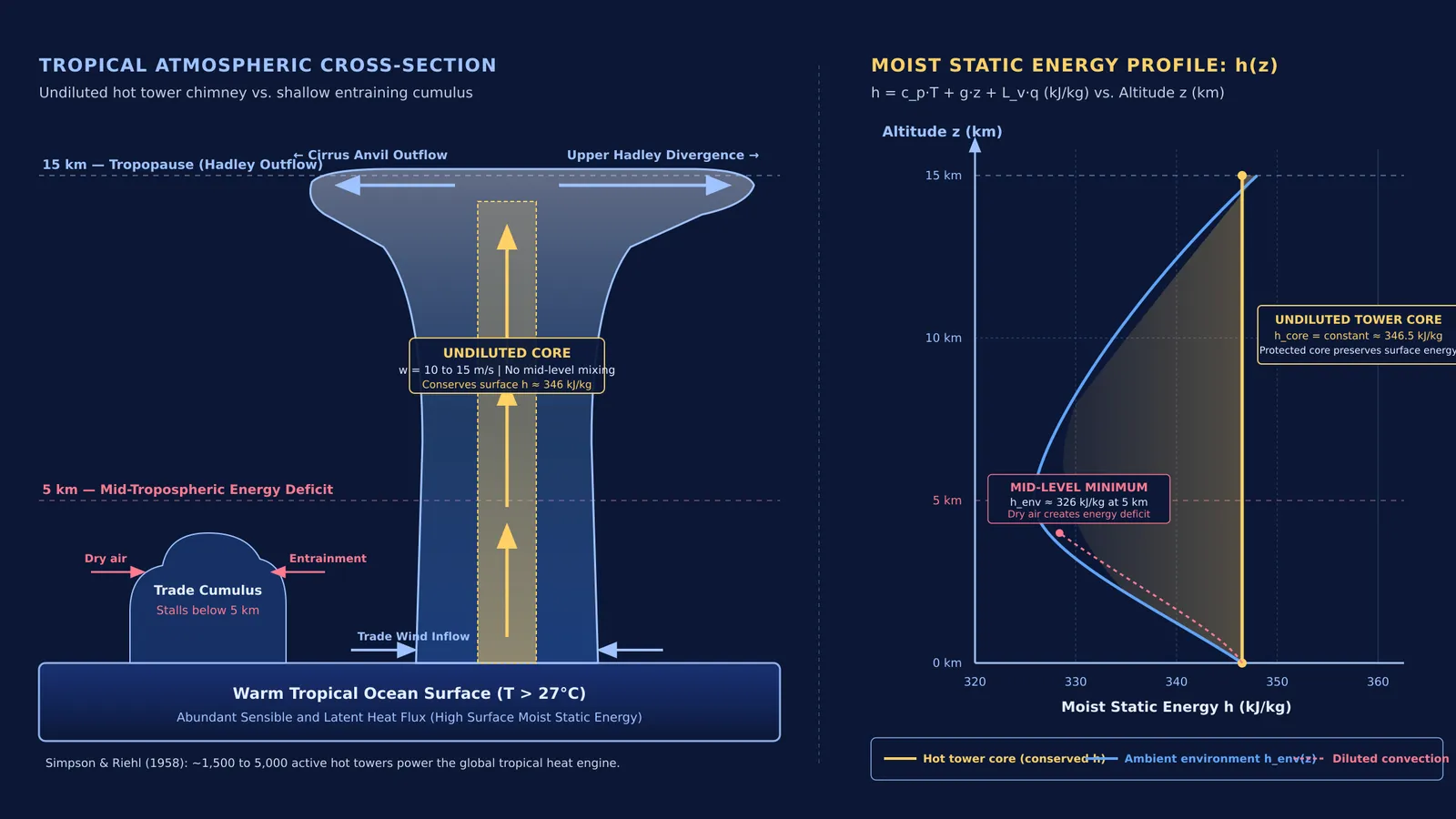 Diagram comparing undiluted hot tower convection with the mid-tropospheric moist static energy minimum.