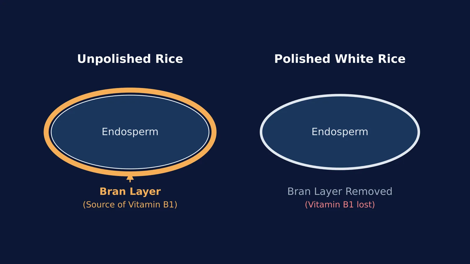 Diagram comparing unpolished rice with its bran layer to polished white rice.