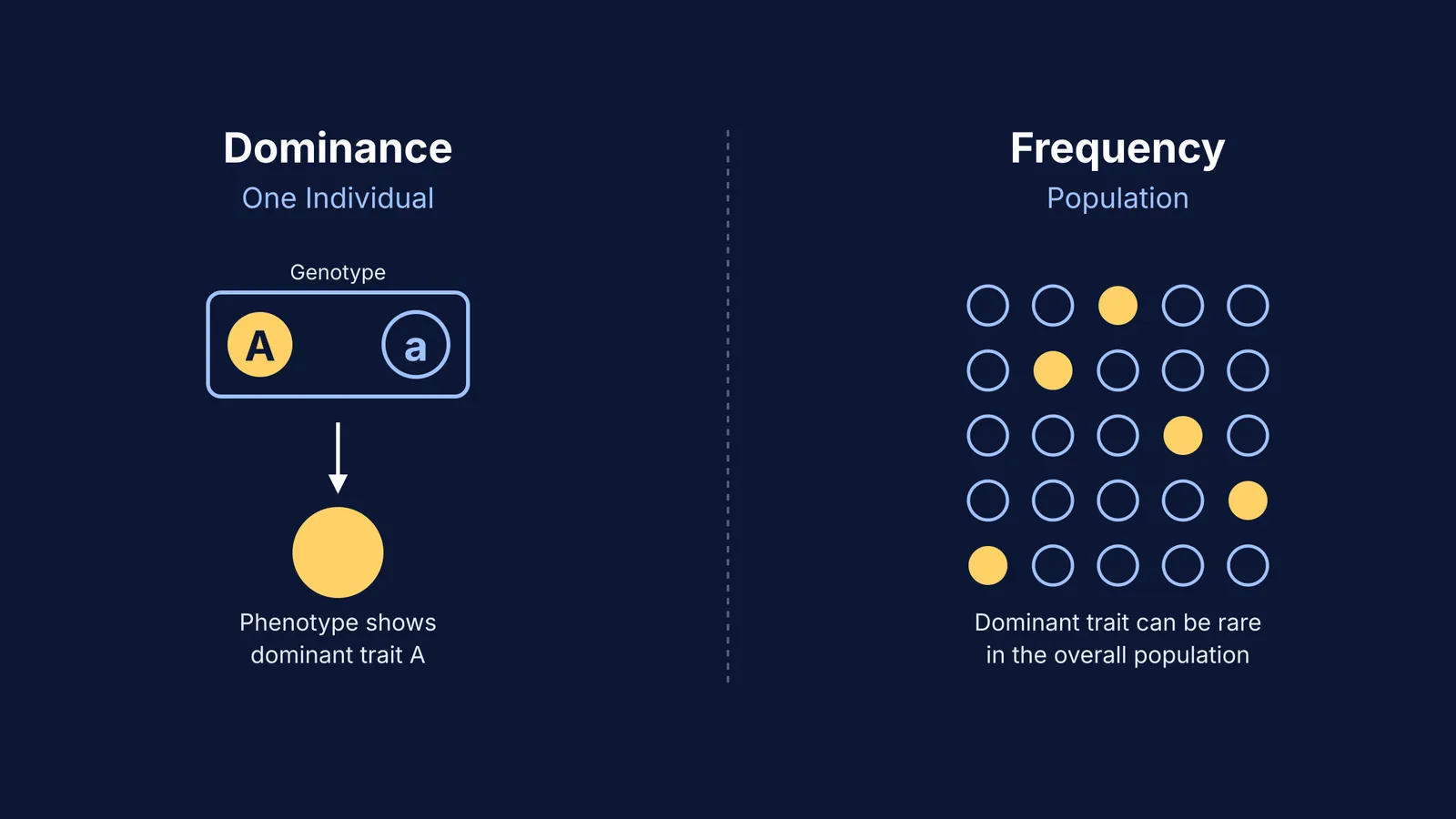 Diagram contrasting individual genetic dominance with a trait's frequency across a population.