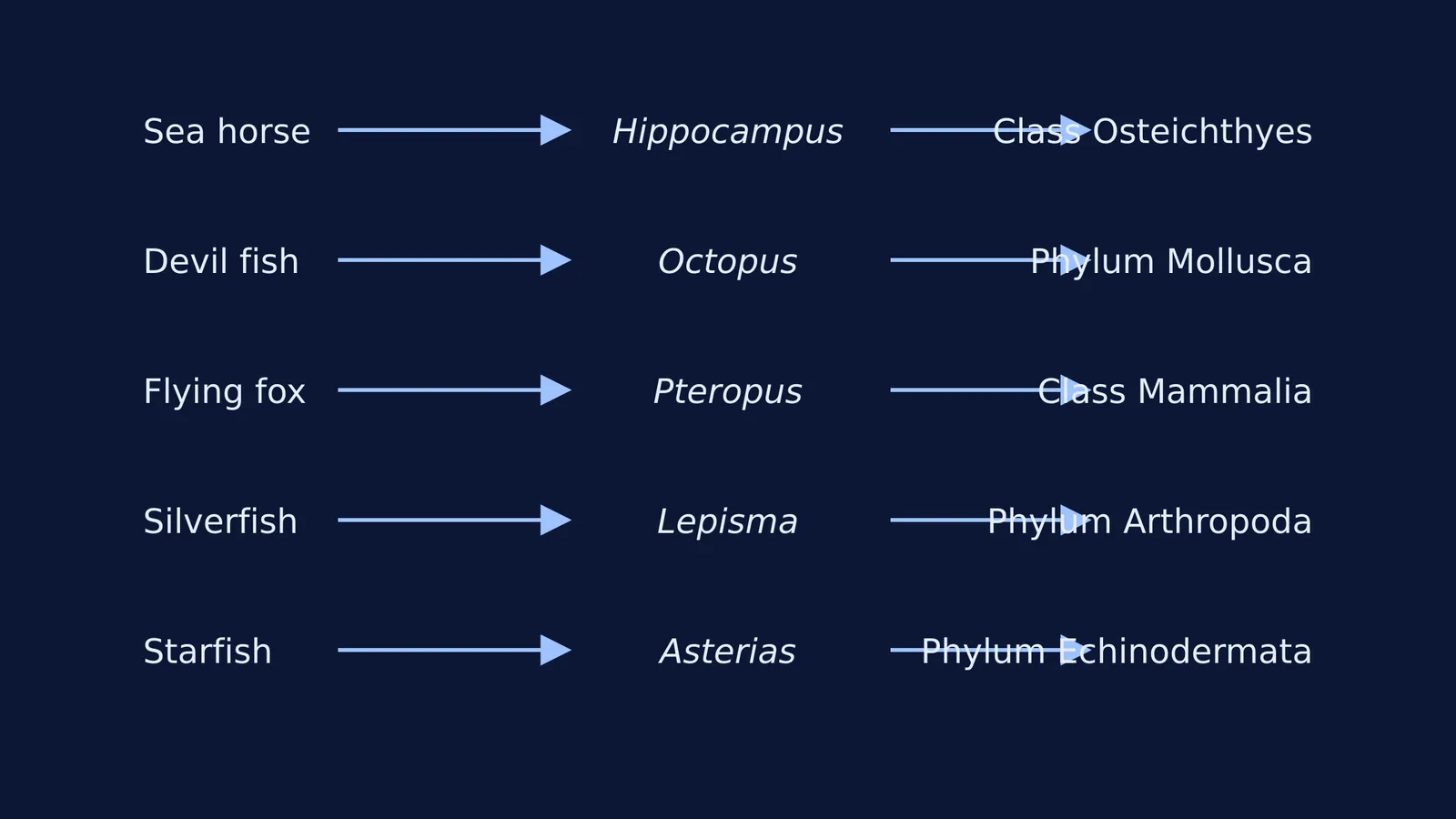 Diagram mapping deceptive animal common names to their correct biological phylum or class.