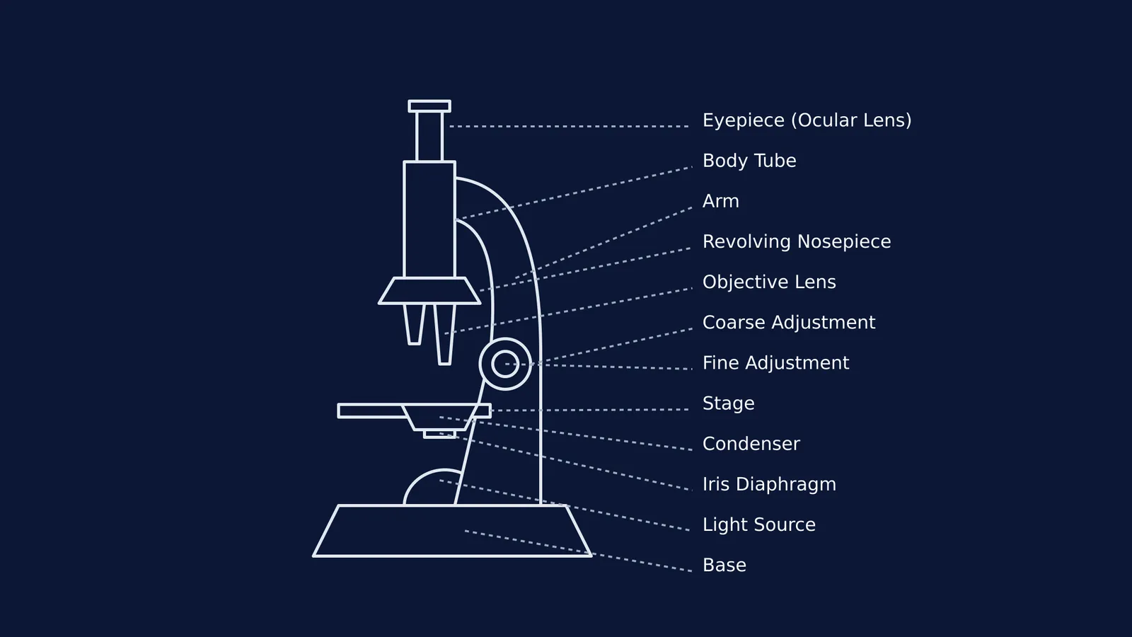 Diagram of a compound microscope with labelled parts.