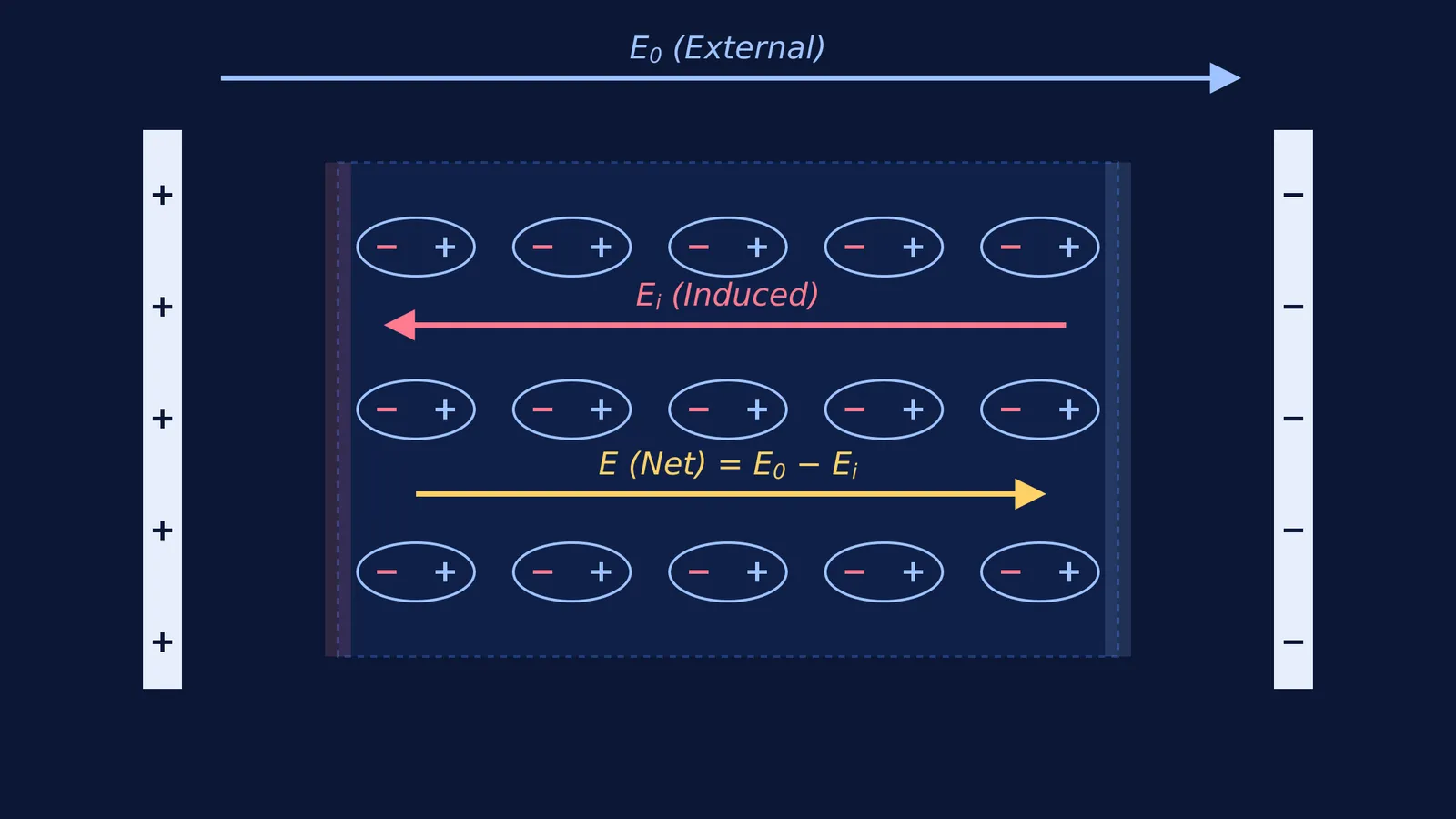 Diagram of a dielectric polarized between capacitor plates showing opposing electric fields.