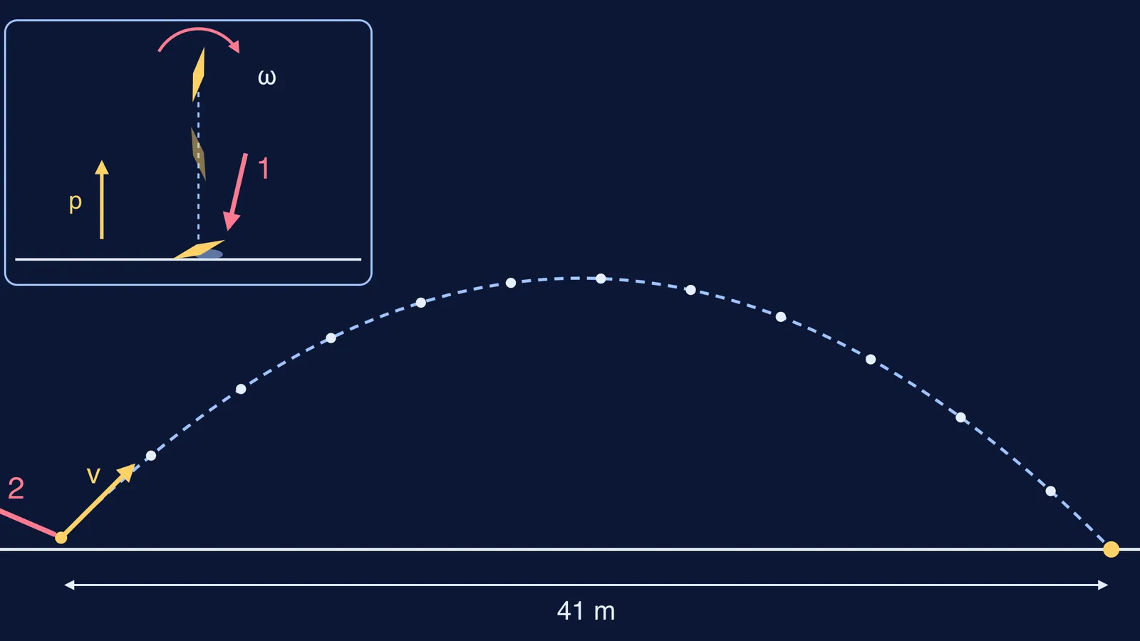 Diagram of a gilli flipping and spinning, then flying 41 metres along a parabola