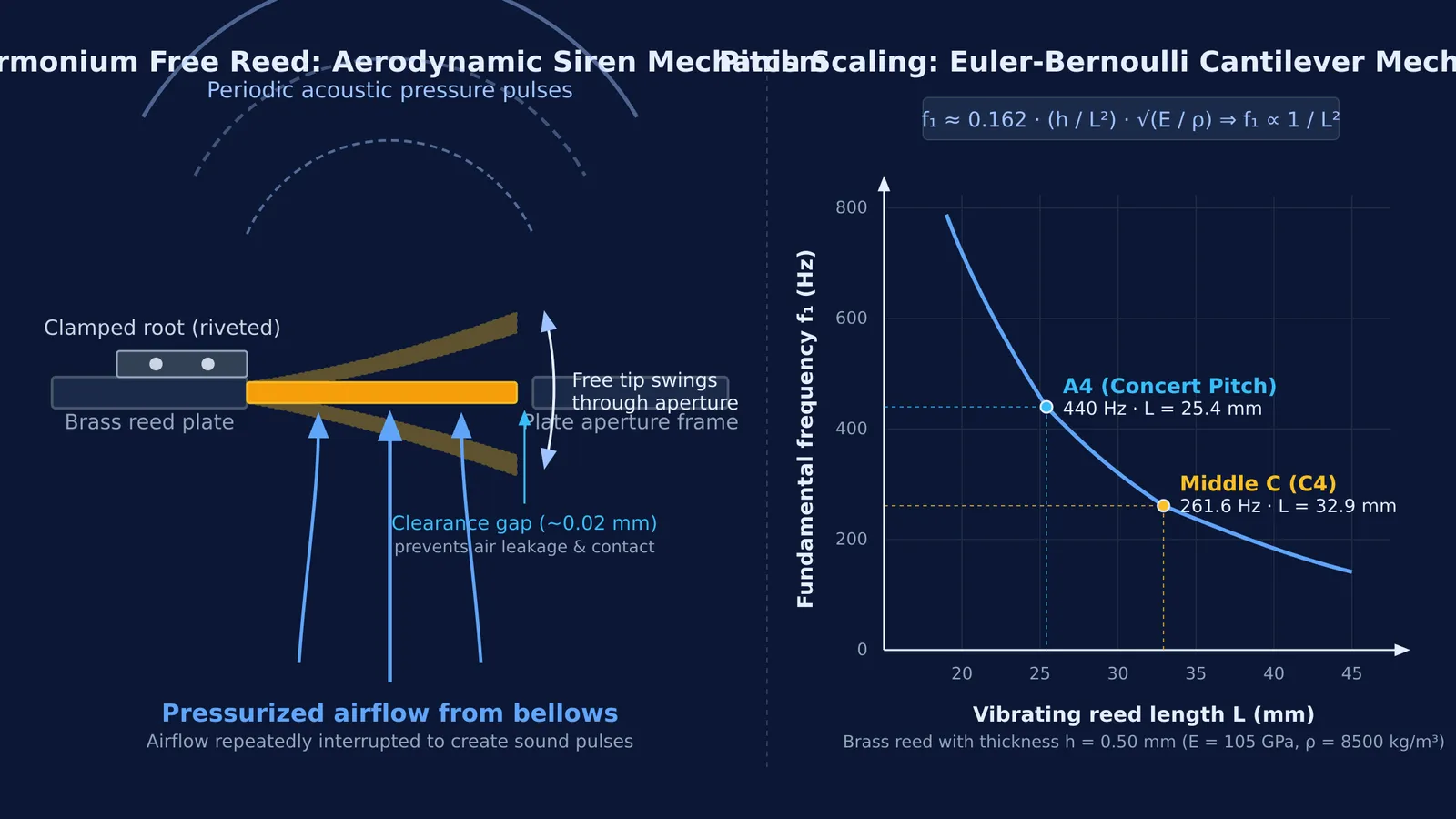 Diagram of a harmonium brass reed vibrating in an airflow aperture alongside frequency curve