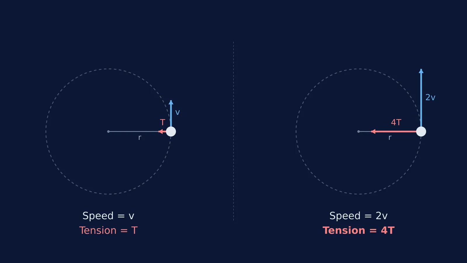 Diagram of a stone in circular motion showing that doubling speed quadruples string tension