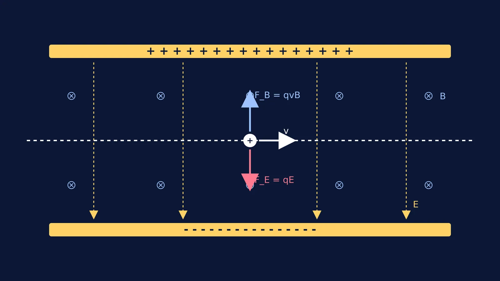 Diagram of a velocity selector showing electric and magnetic forces on a positive charge