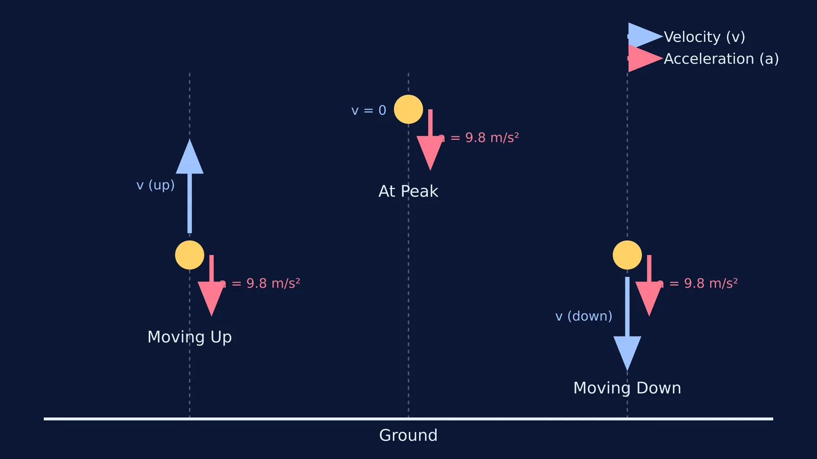 Diagram of a vertically thrown ball at three moments.