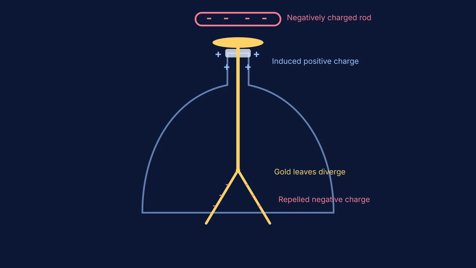 Diagram of an electroscope polarized by a nearby charged rod