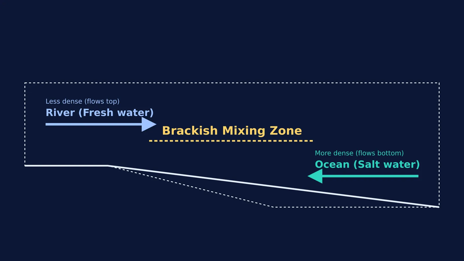 Diagram of an estuary mixing zone