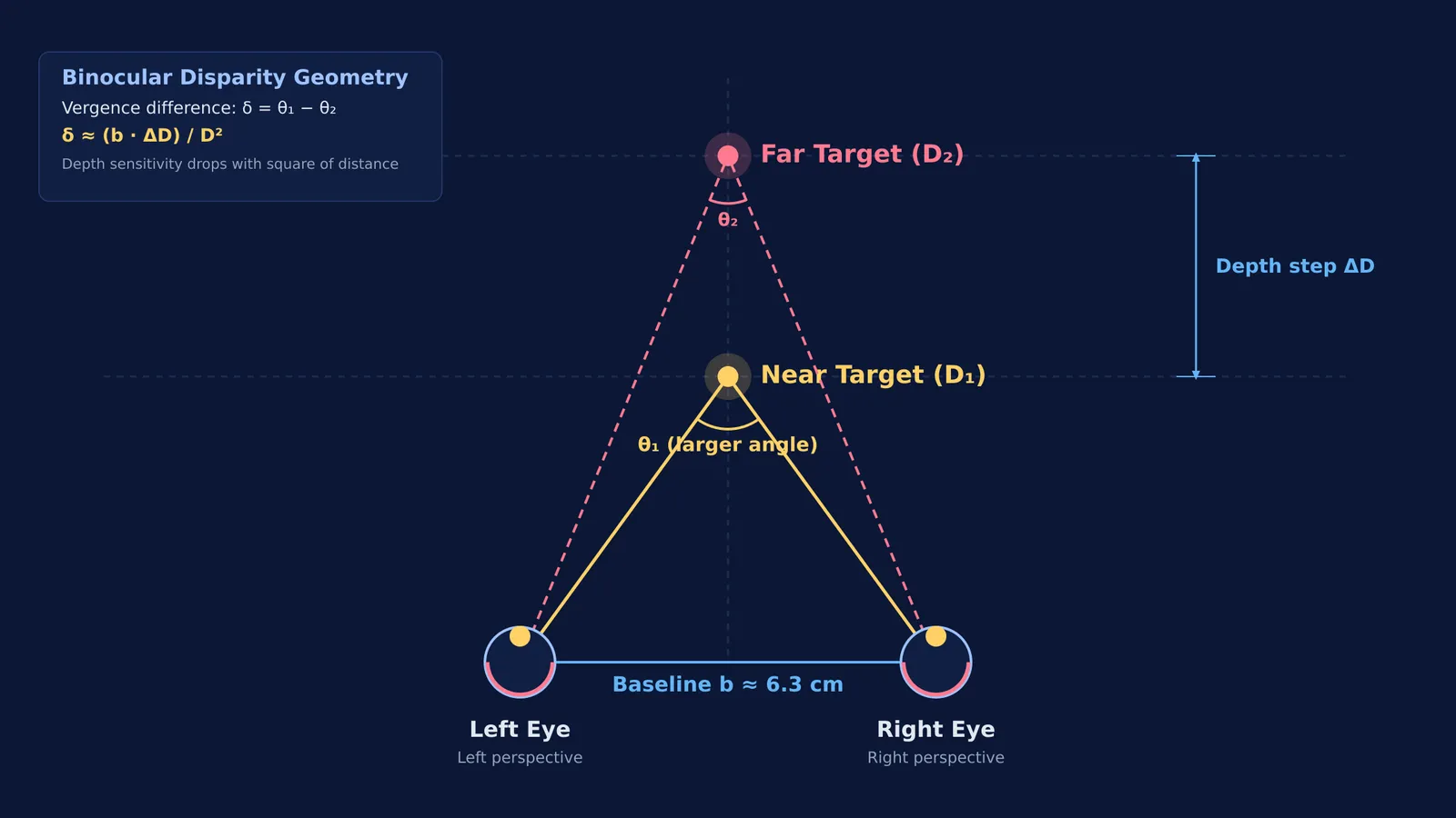 Diagram of binocular disparity and convergence angles from two eyes to depth targets
