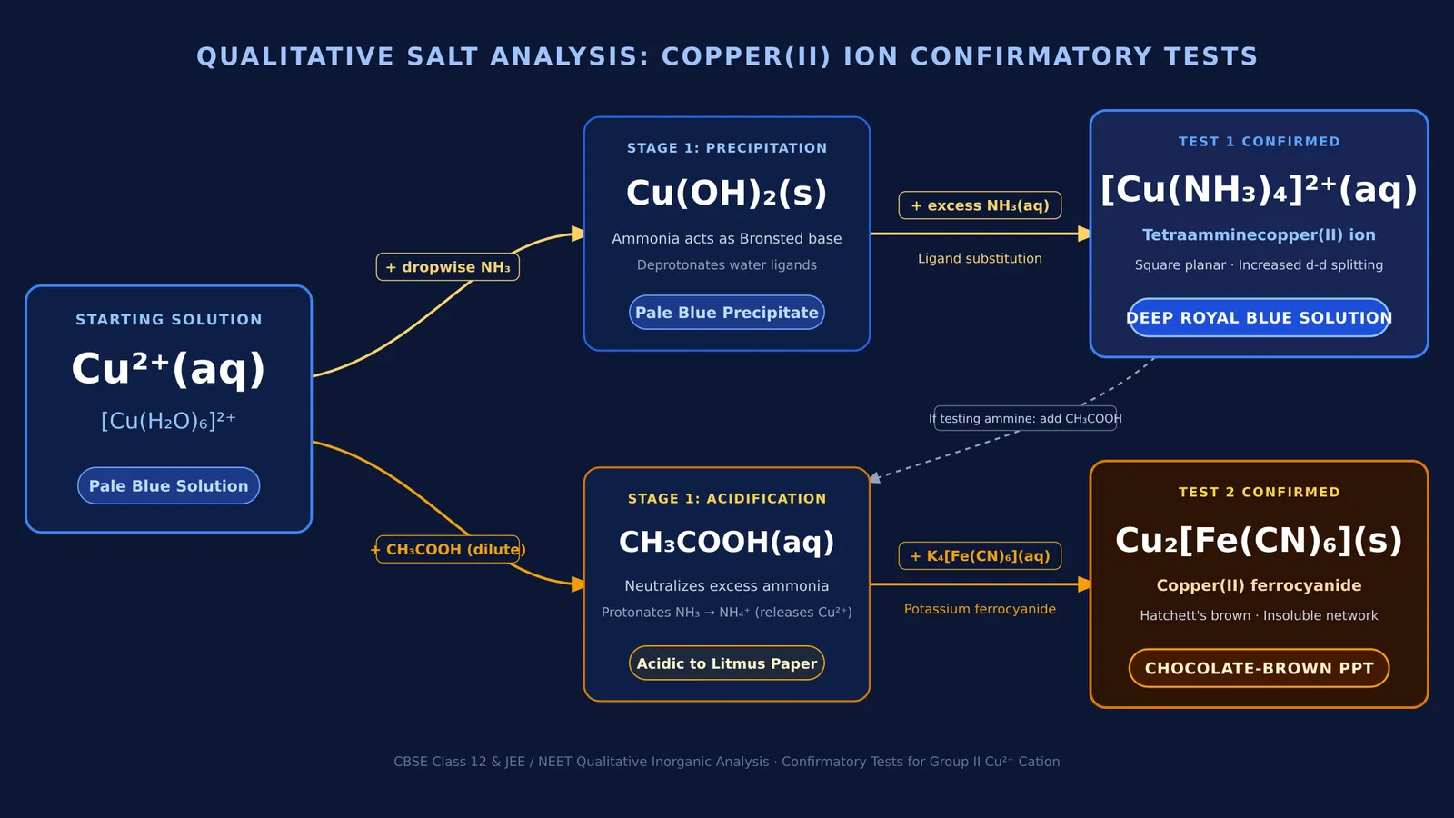 Diagram of confirmatory test pathways for copper ions using ammonia and potassium ferrocyanide