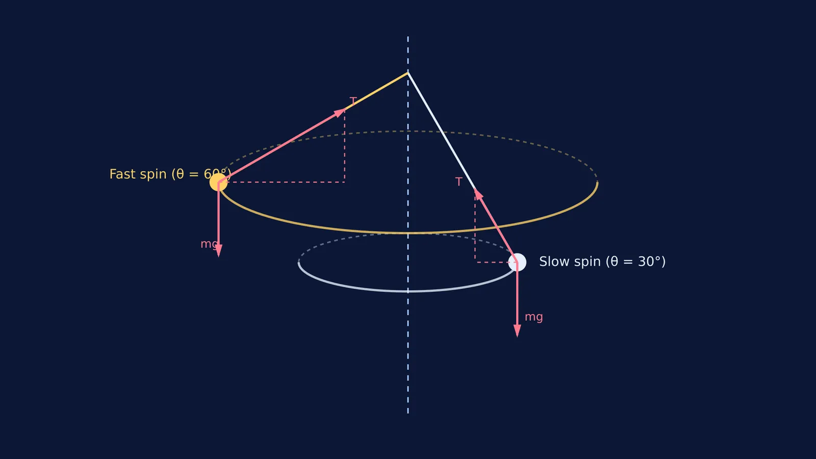 Diagram of conical pendulum angles at slow and fast speeds