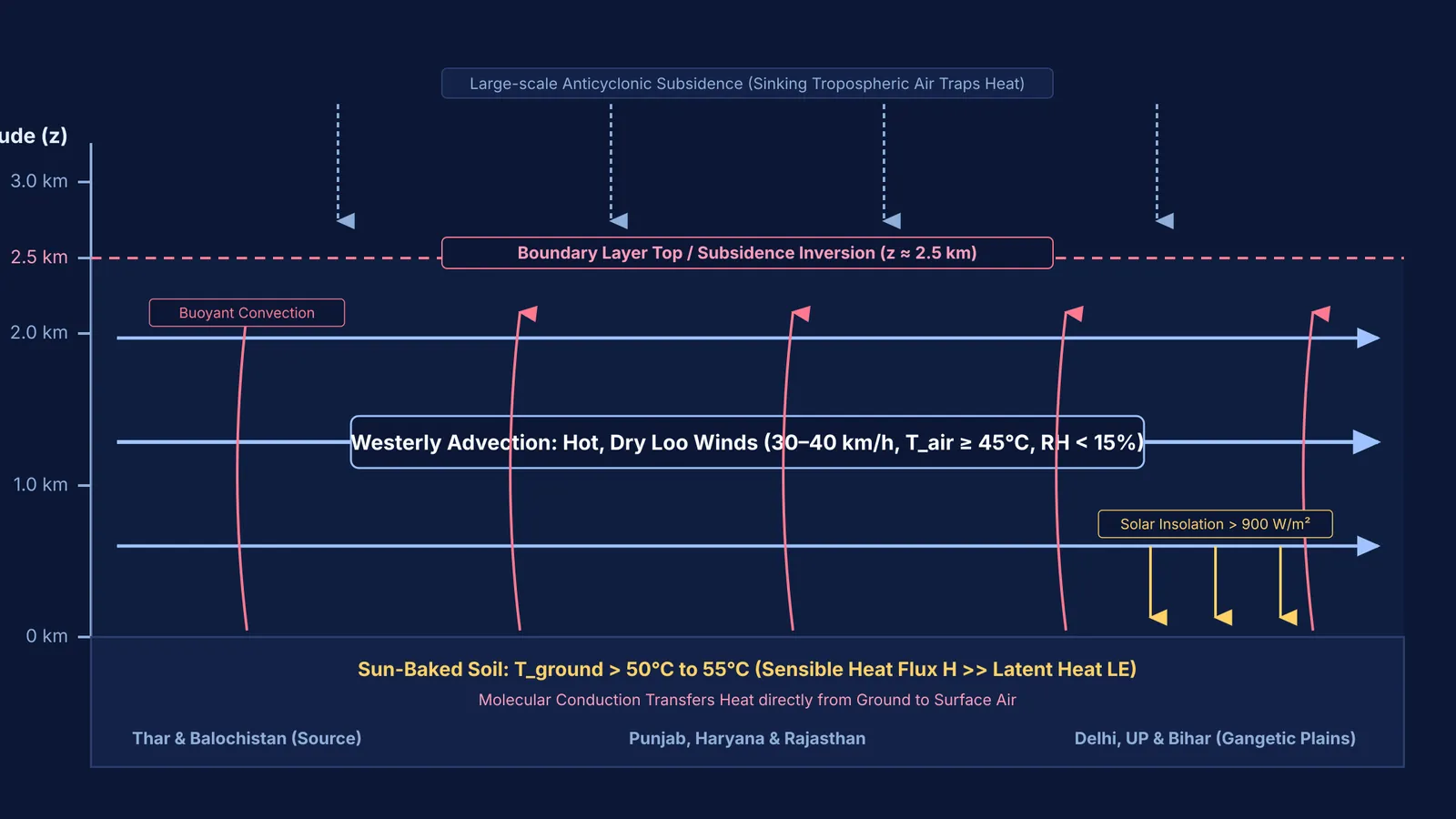 Diagram of convective boundary layer and westerly advection driving Loo winds.