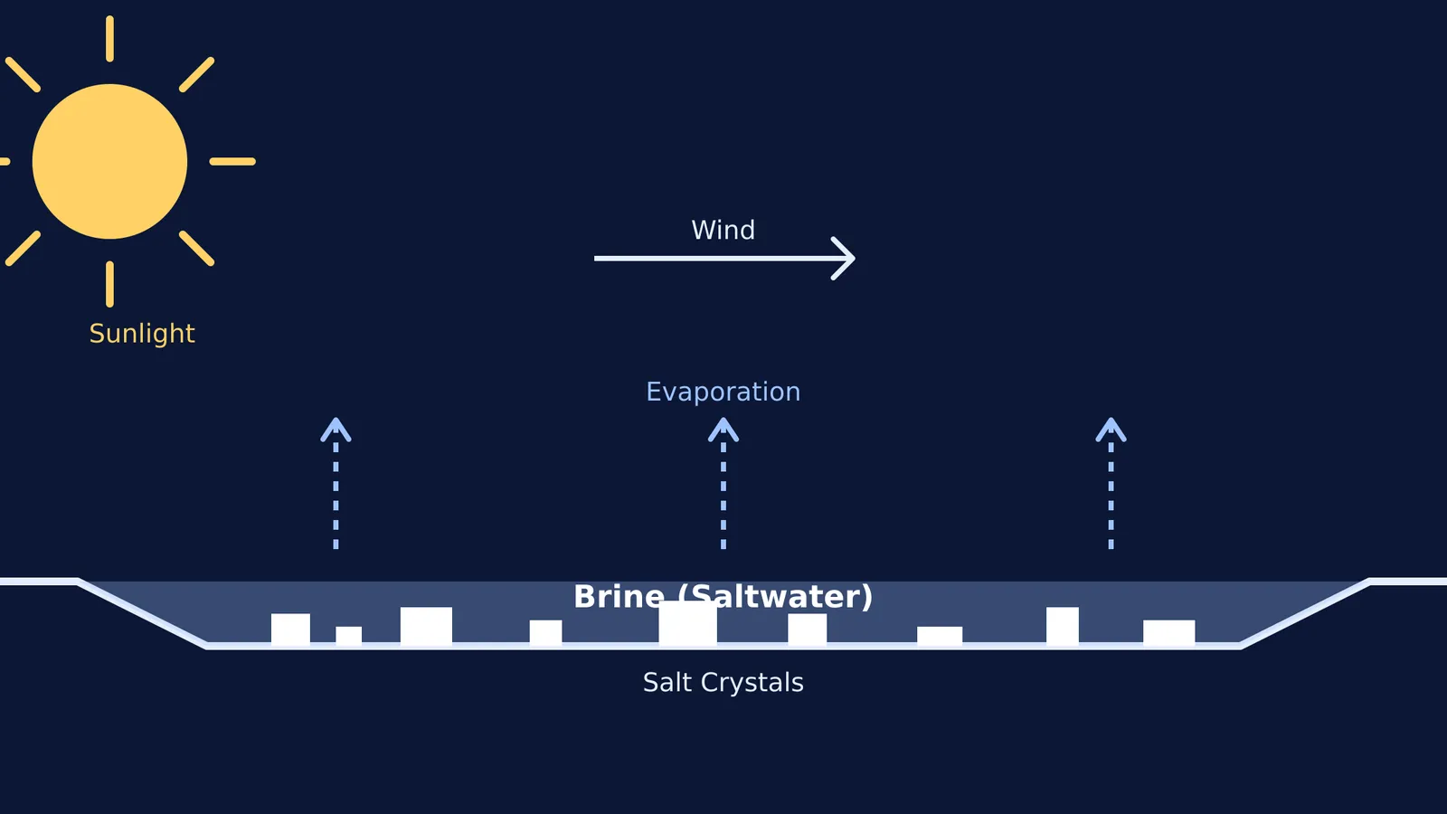 Diagram of evaporation and crystallisation in a salt pan