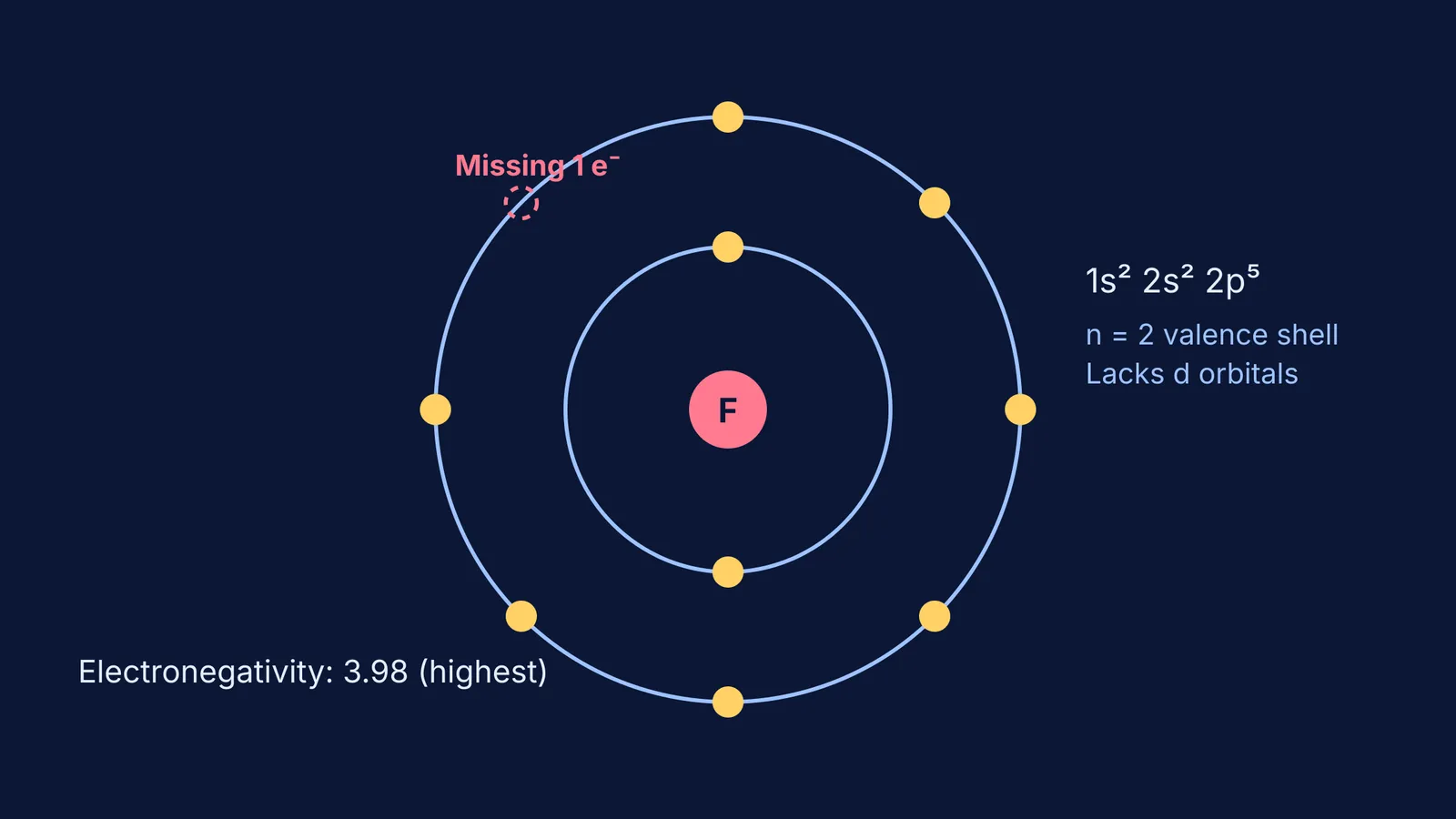 Diagram of fluorine's electron shells showing its seven valence electrons