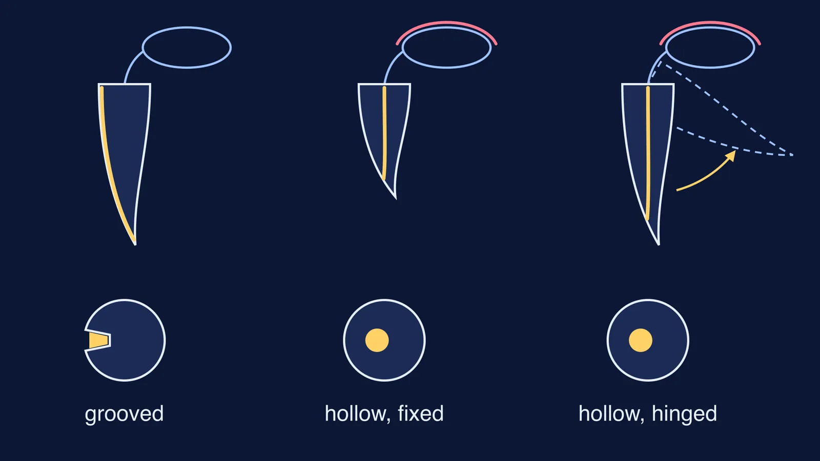 Diagram of grooved, hollow fixed and hollow hinged snake fangs with venom glands