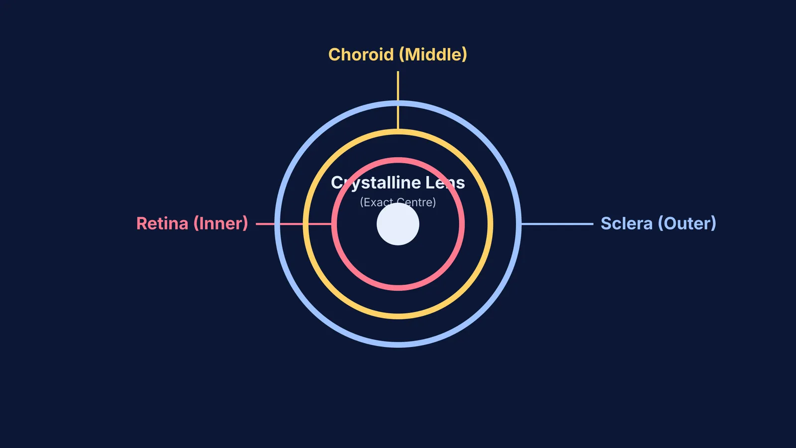 Diagram of Hunayn ibn Ishaq's eye anatomy showing concentric layers around a central lens