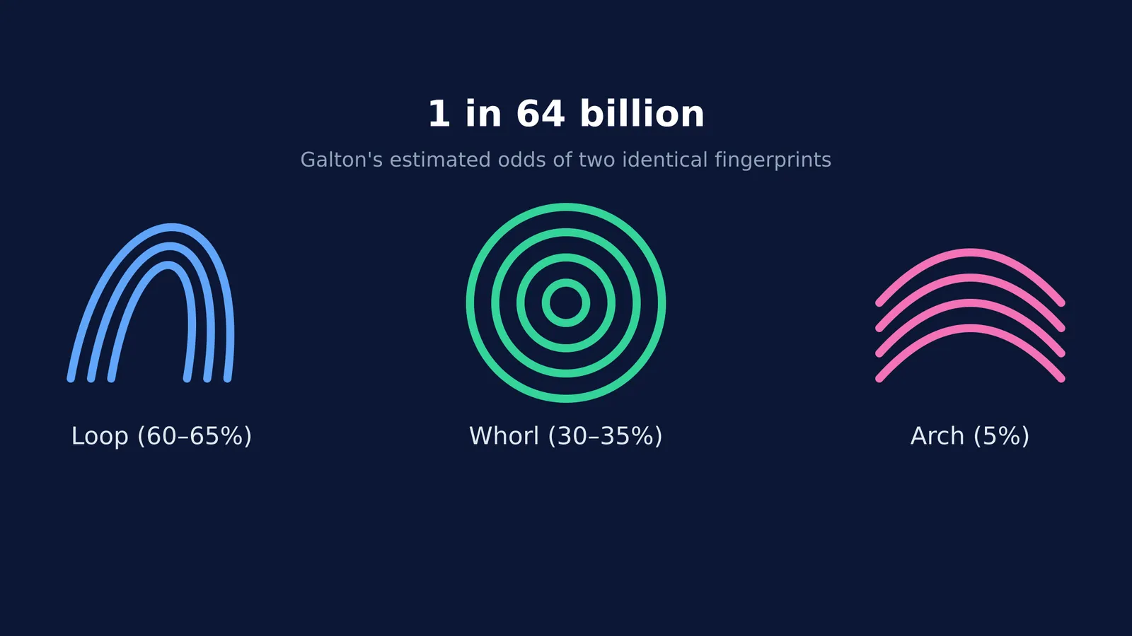 Diagram of loop, whorl, and arch fingerprint patterns with 1 in 64 billion odds.