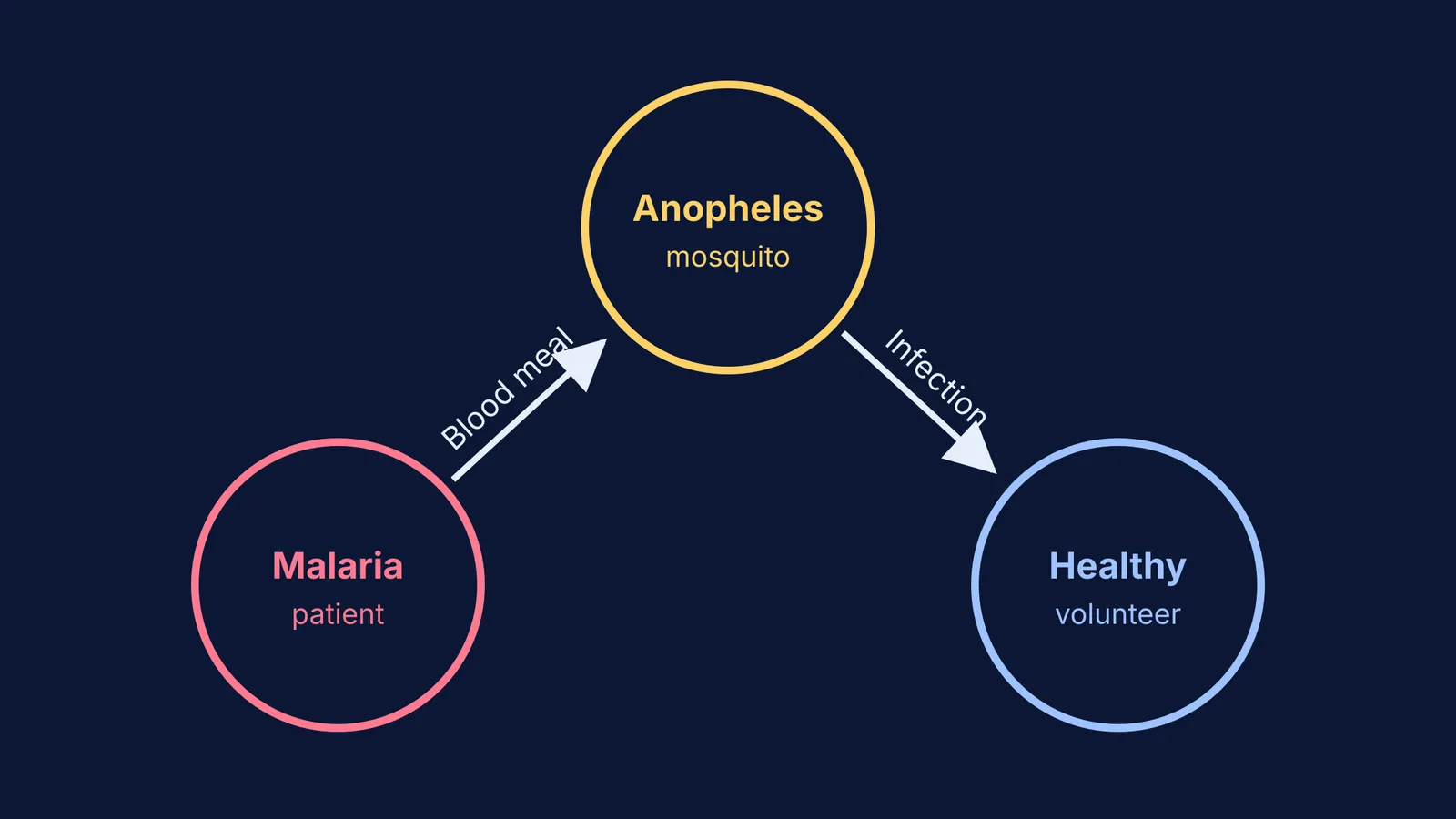 Diagram of malaria transmission from patient to mosquito to healthy volunteer