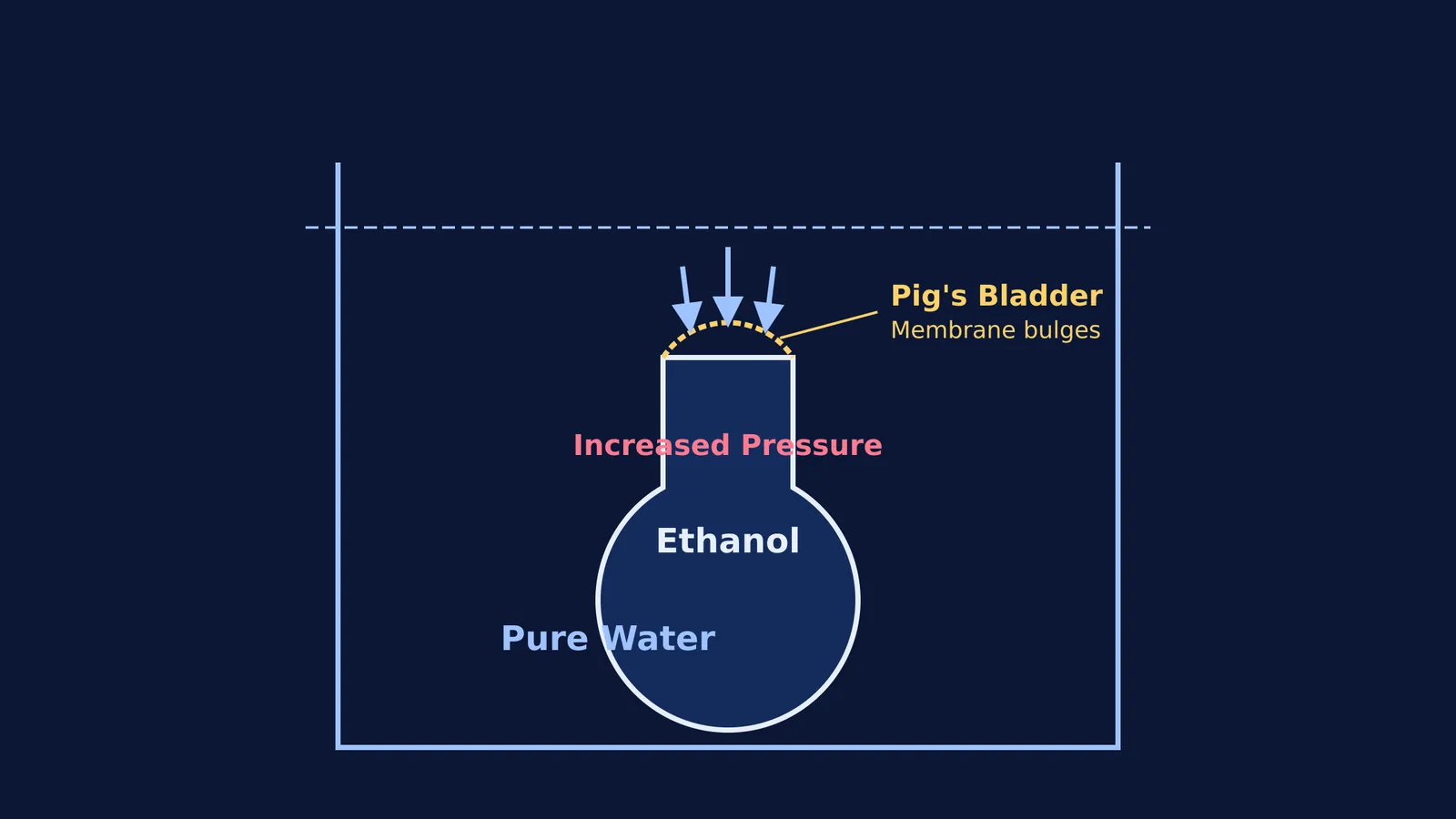 Diagram of Nollet's 1748 osmosis experiment with pure water, ethanol and a pig bladder