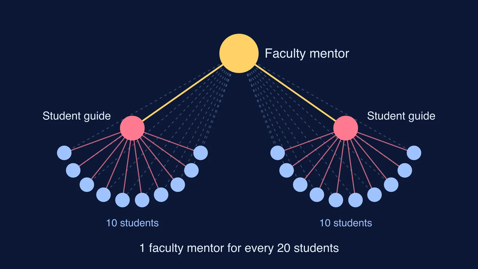 Diagram of one faculty mentor linked to two student guides and 20 students