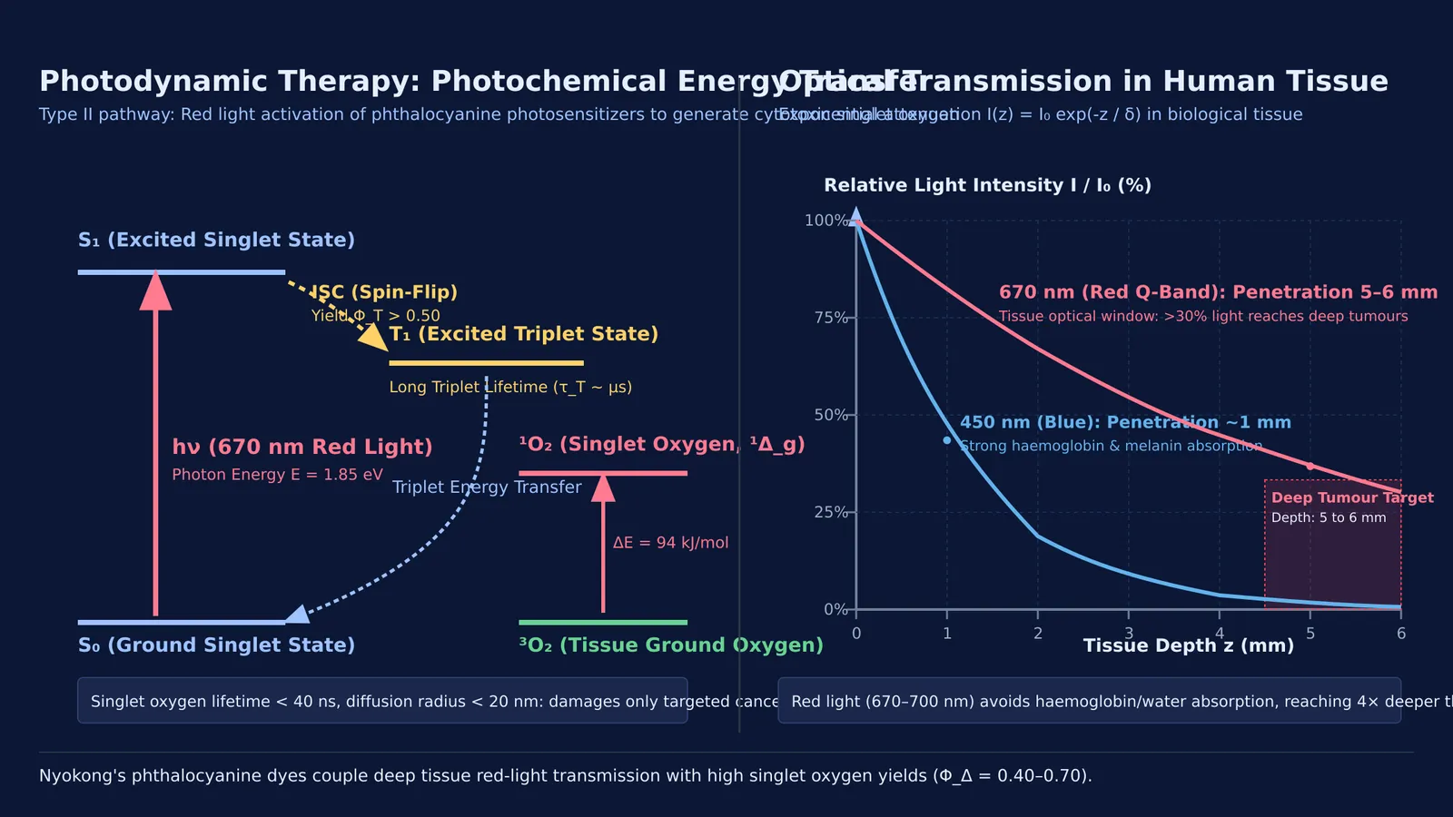 Diagram of photodynamic therapy mechanism showing energy transfer and red light tissue penetration.