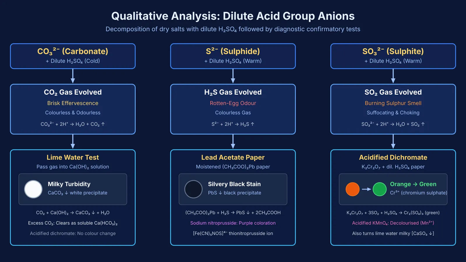 Diagram of preliminary and confirmatory tests for carbonate, sulphide, and sulphite anions