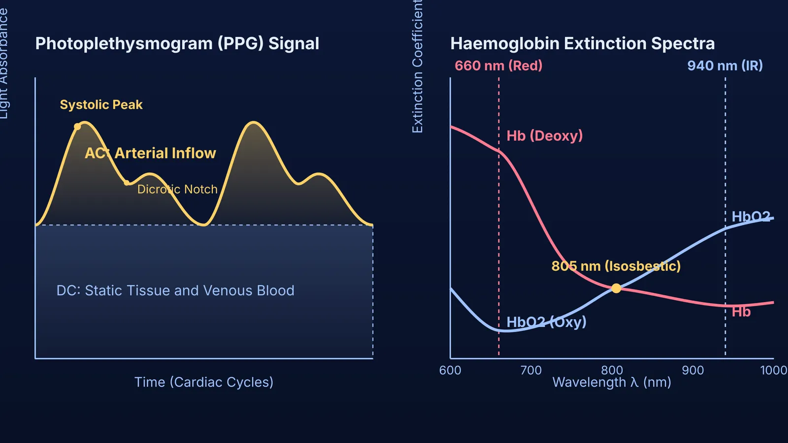 Diagram of pulse oximeter photoplethysmogram waveforms and haemoglobin light absorption spectra