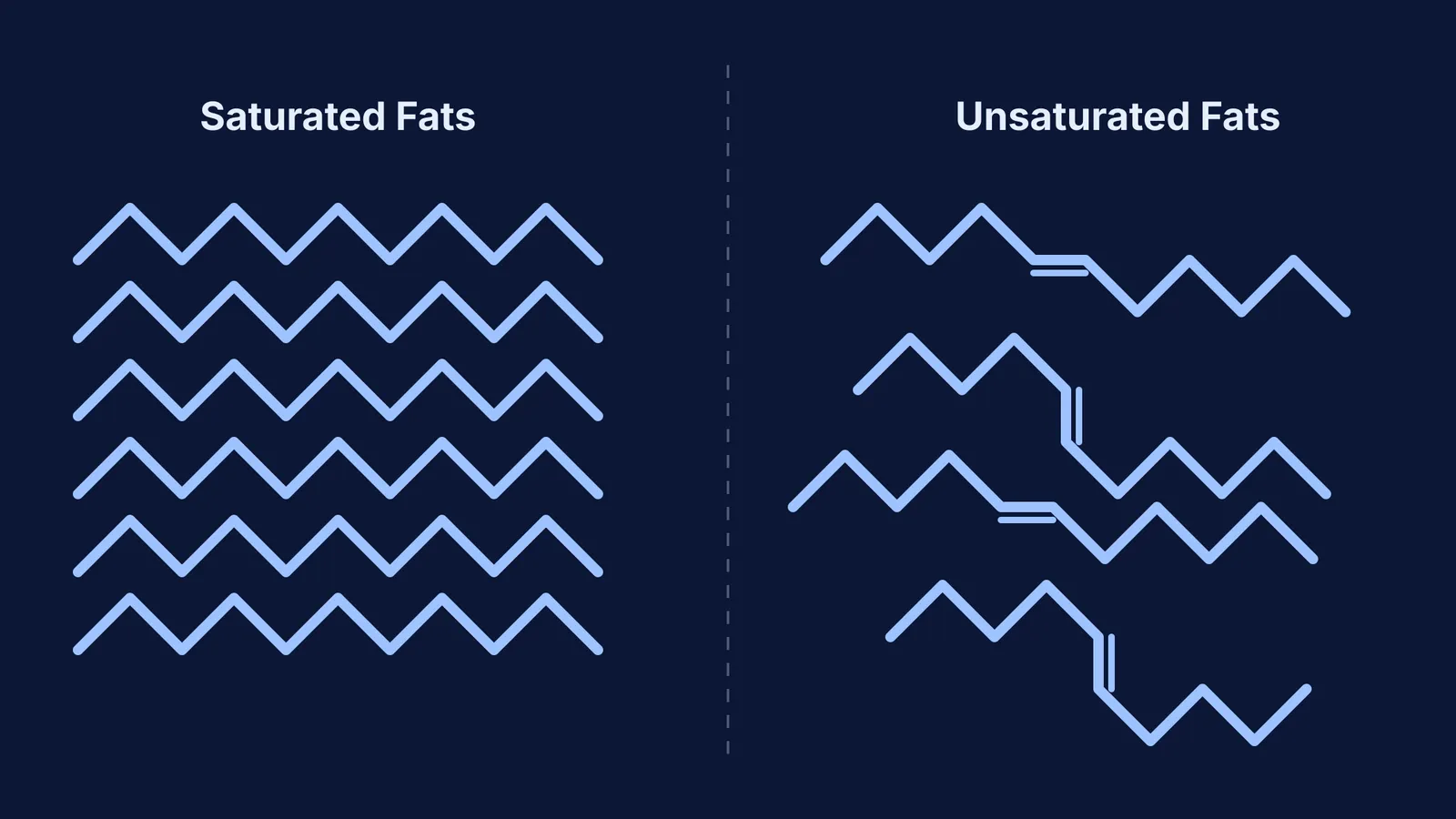 Diagram of straight saturated and kinked unsaturated fat chains.