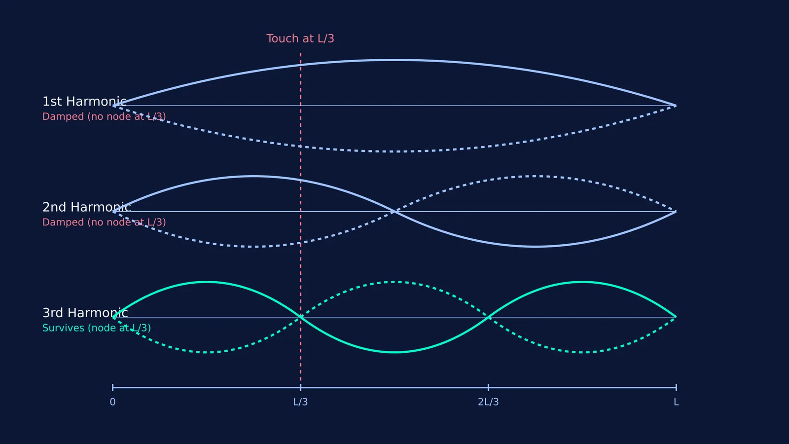 Diagram of string harmonics showing the 3rd harmonic surviving when touched at L/3.