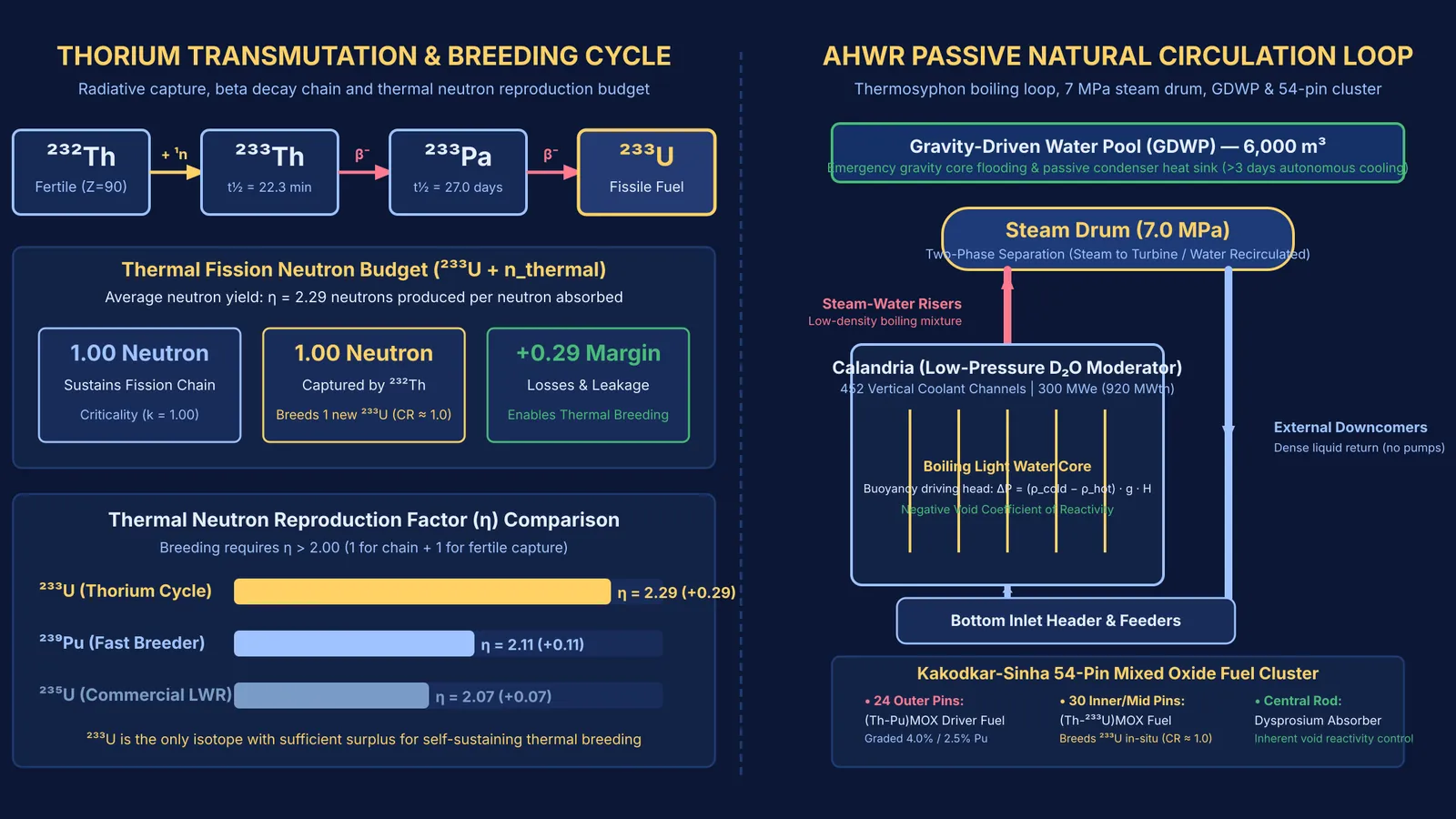 Diagram of the AHWR thorium breeding cycle and passive natural circulation reactor loop