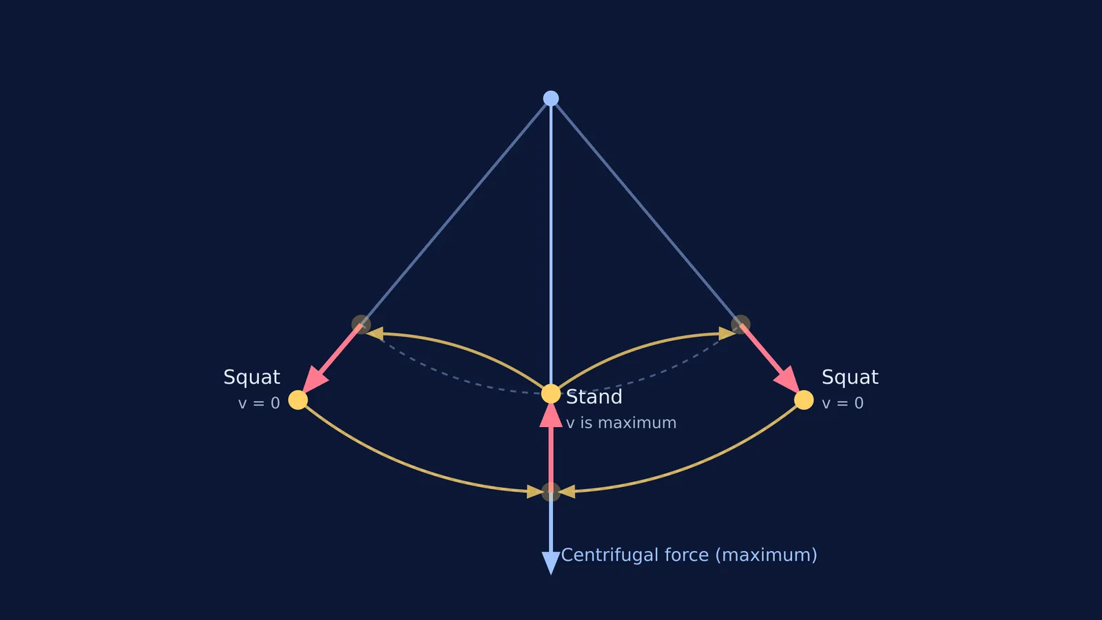 Diagram of the centre of mass path during parametric pumping on a swing