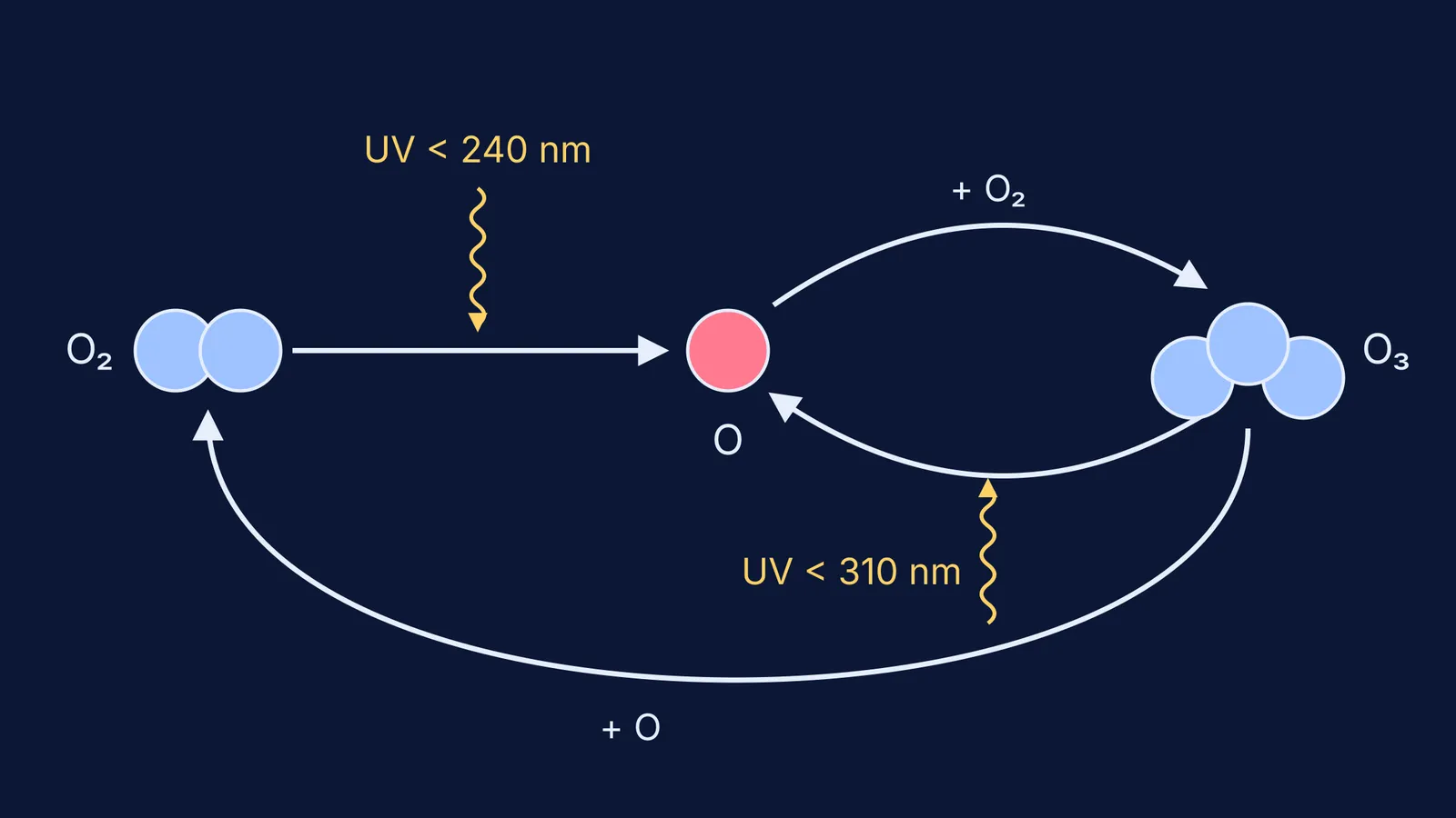 Diagram of the Chapman cycle linking oxygen molecules, oxygen atoms and ozone