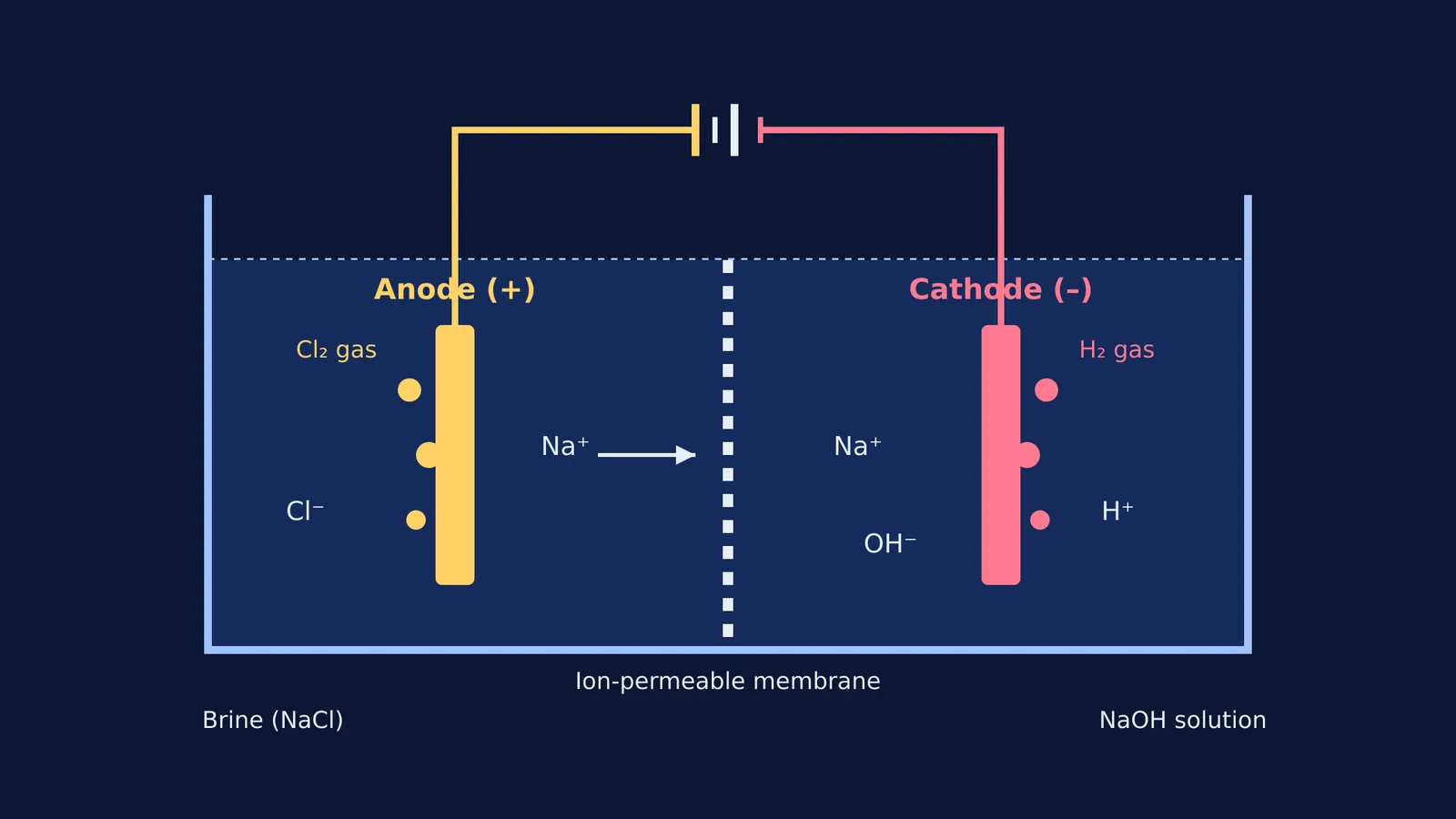 Diagram of the chlor-alkali process showing electrodes and products
