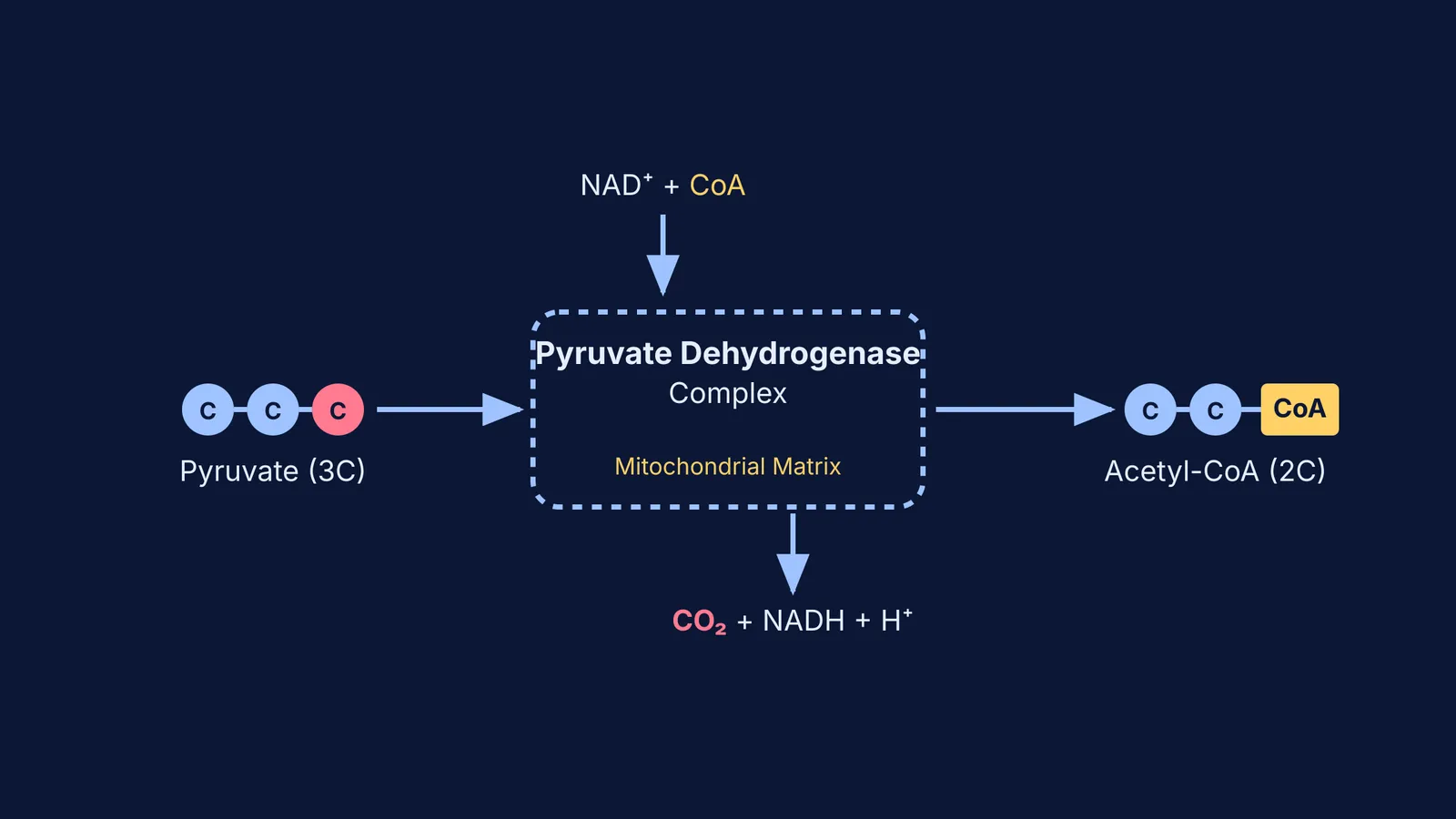 Diagram of the link reaction and its products