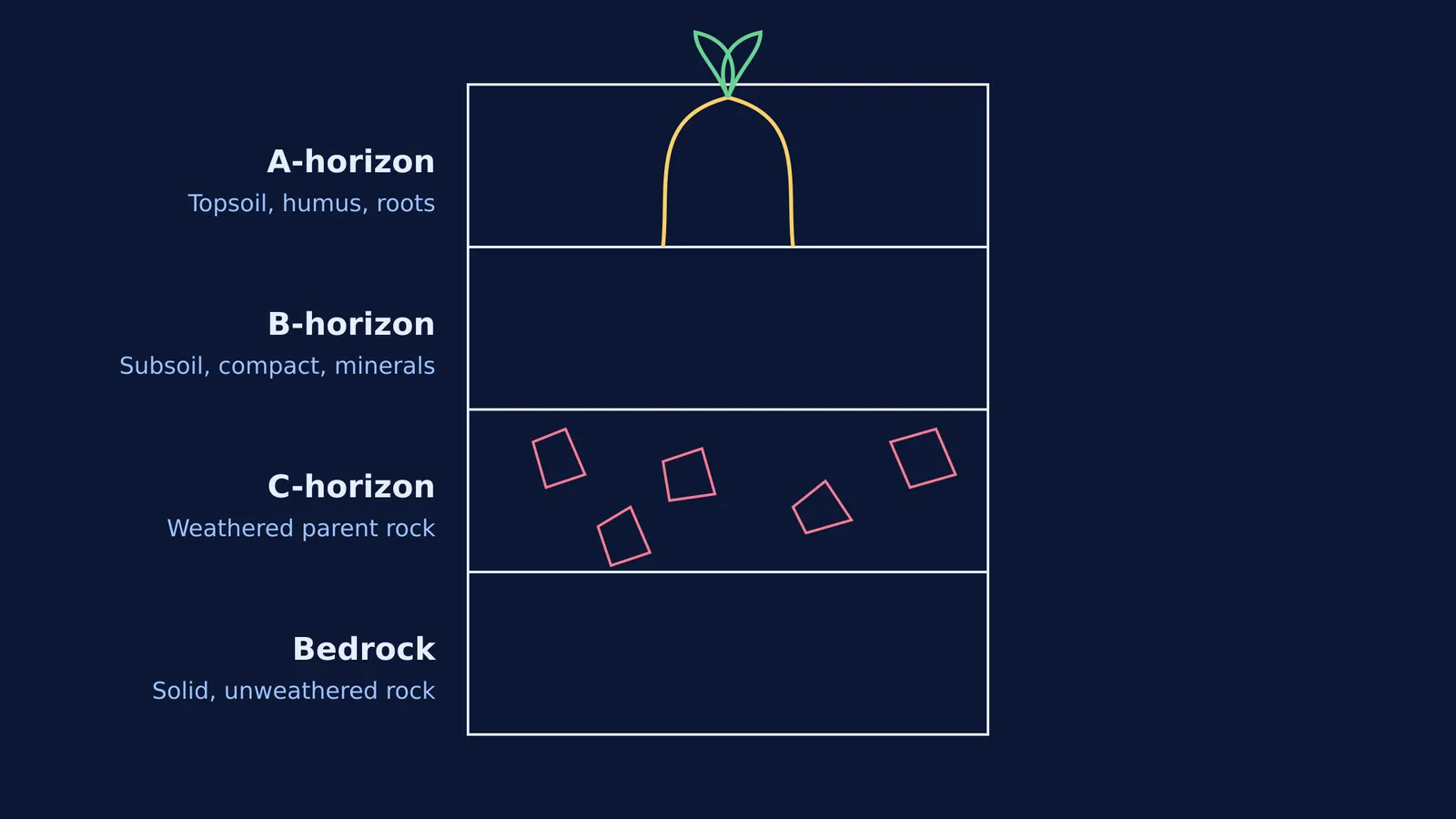 Diagram of the soil profile showing A, B, C horizons and bedrock