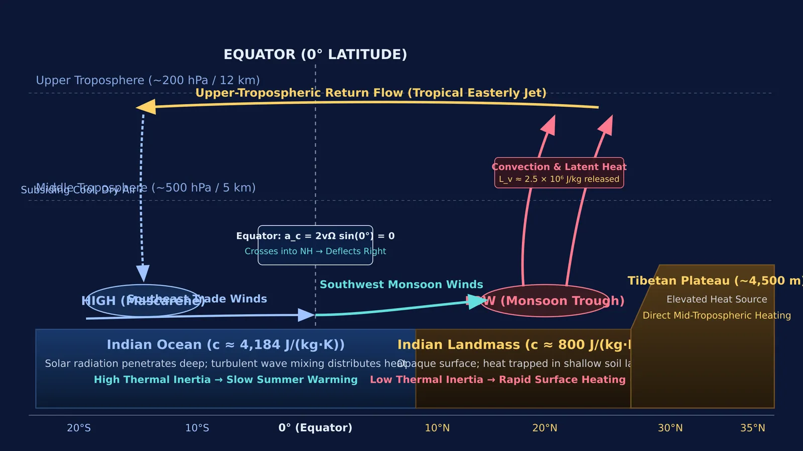 Diagram of the thermodynamic and dynamical mechanism driving the Indian summer monsoon