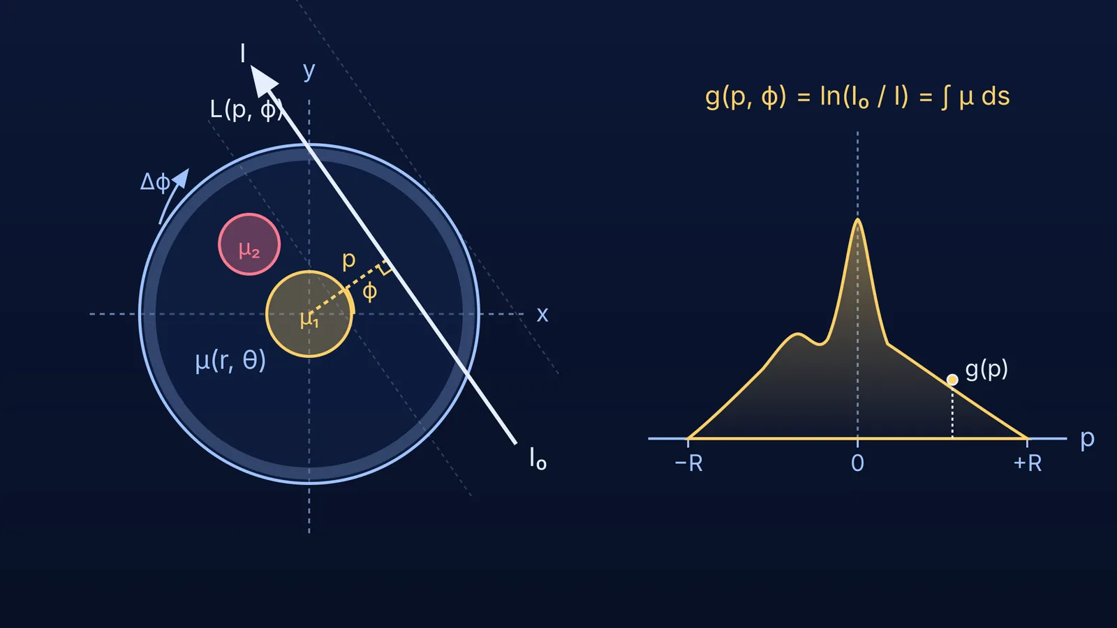Diagram of tomographic projection geometry mapping ray line integrals to attenuation profile