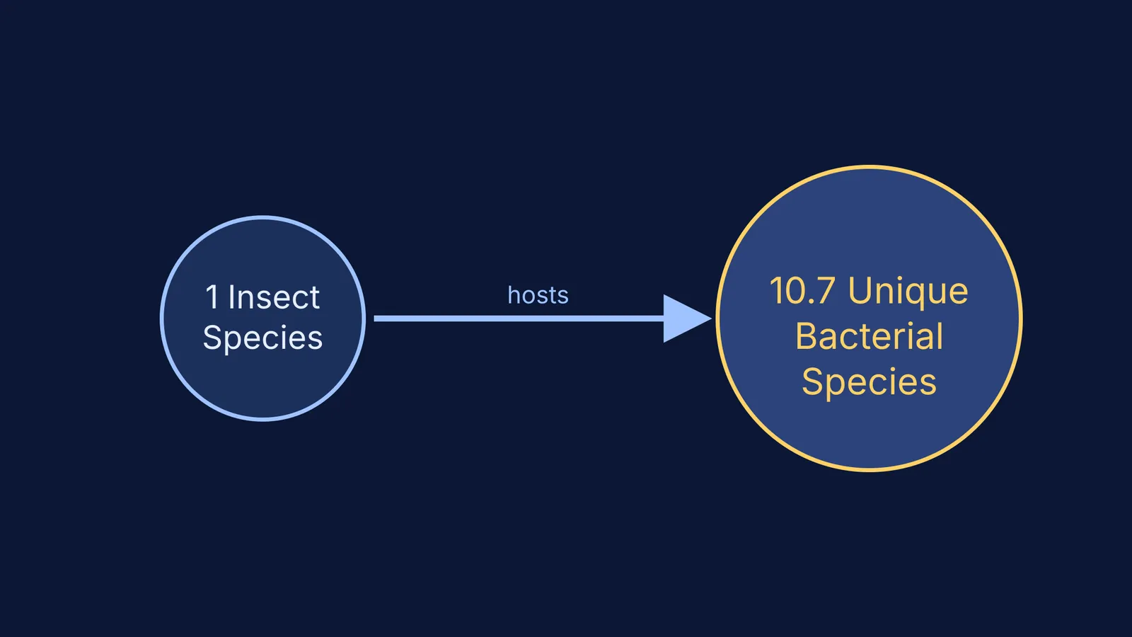 Diagram showing 1 insect species hosting 10.7 unique bacterial species.