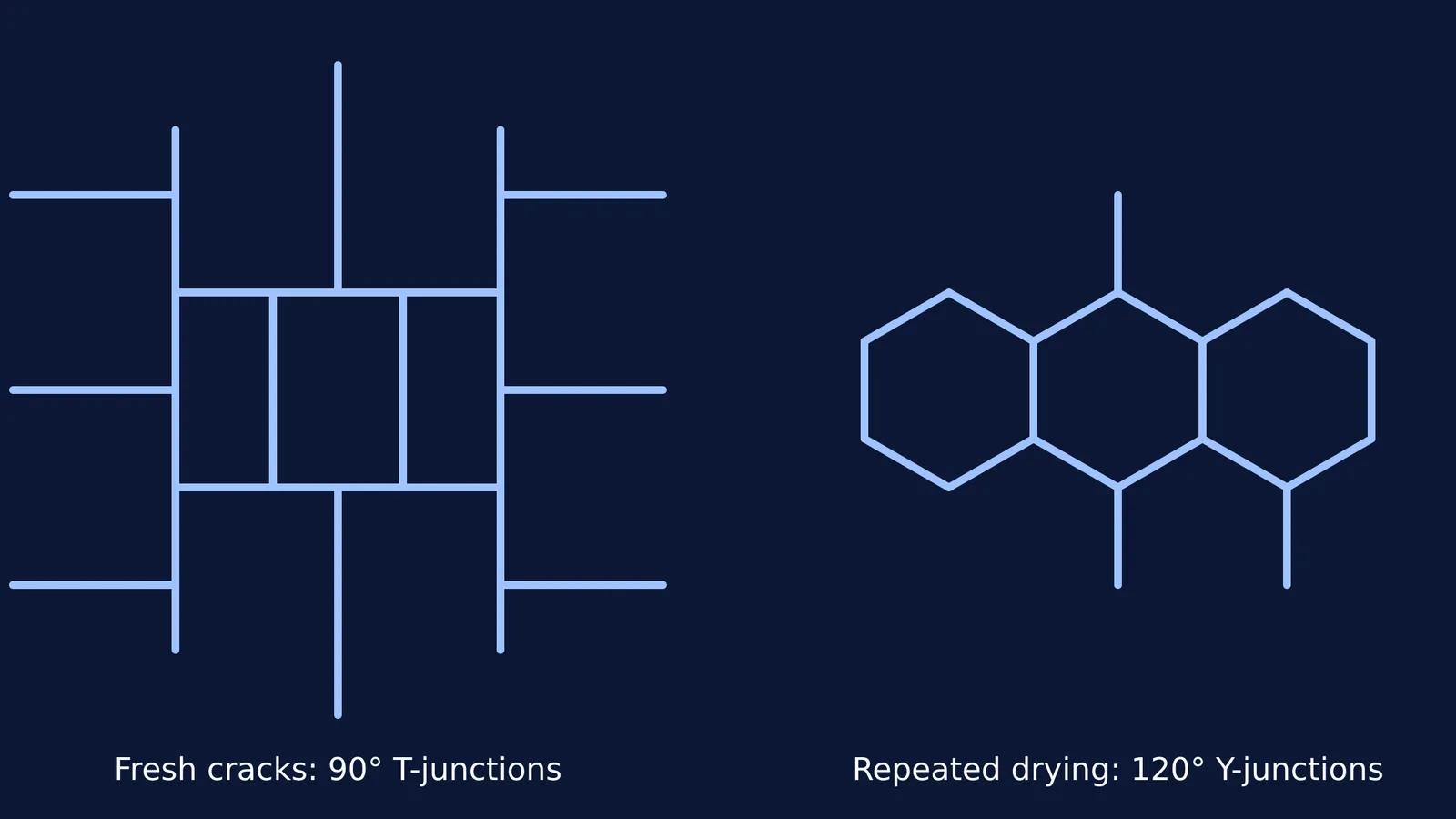 Diagram showing 90-degree T-junctions evolving into 120-degree Y-junctions in mud cracks