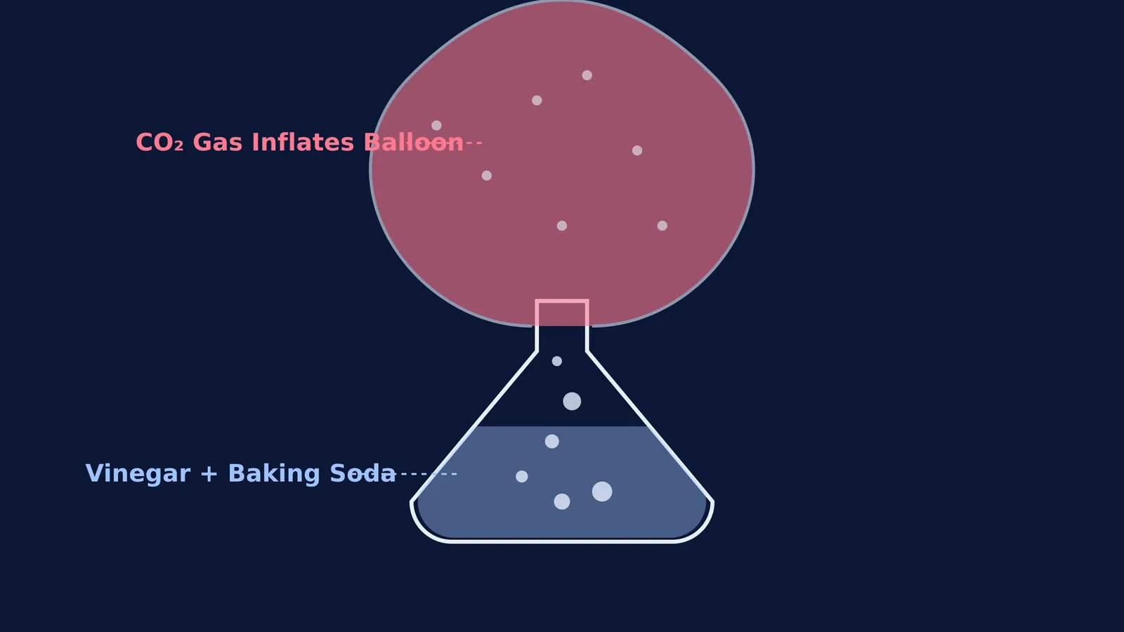 Diagram showing a balloon inflated by carbon dioxide gas from a flask.
