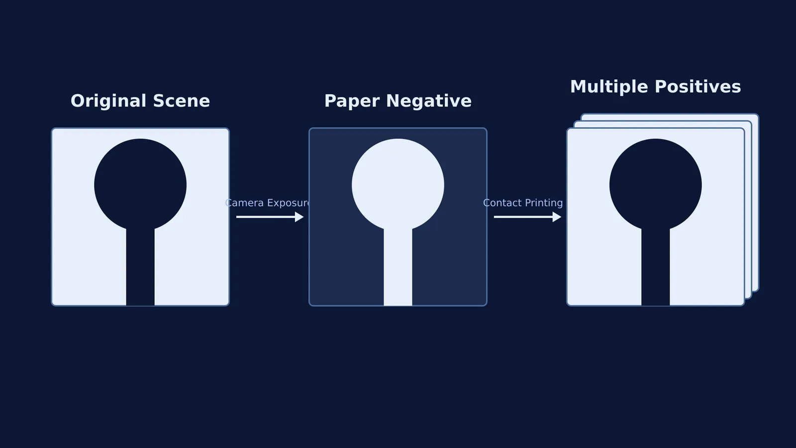 Diagram showing a dark tree becoming a white negative, then printing as dark positives.