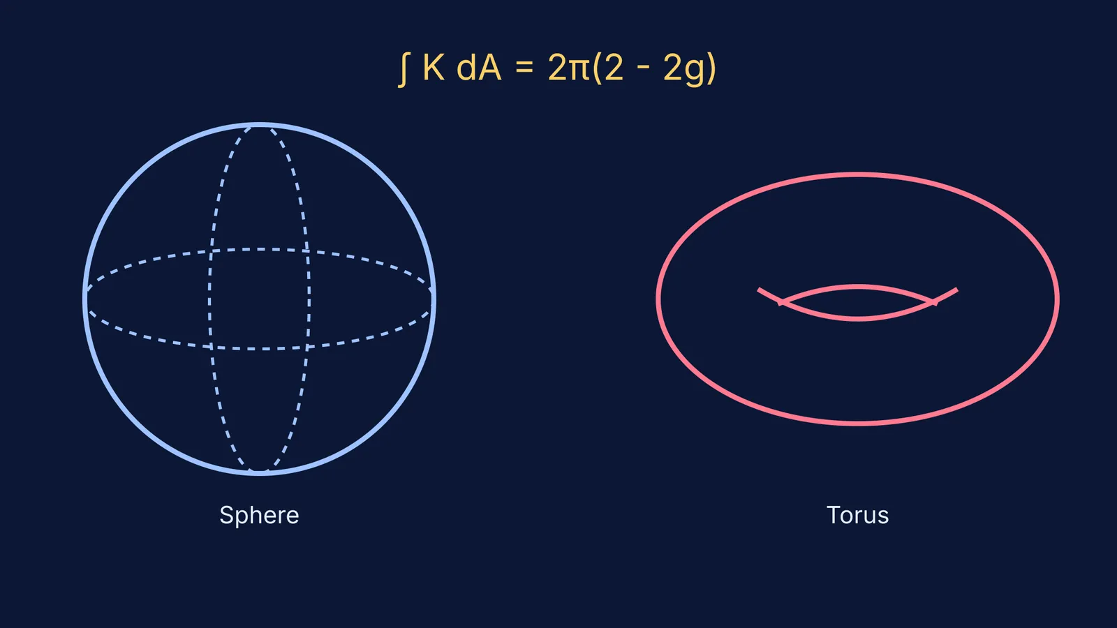 Diagram showing a sphere and torus to illustrate the Gauss-Bonnet theorem.