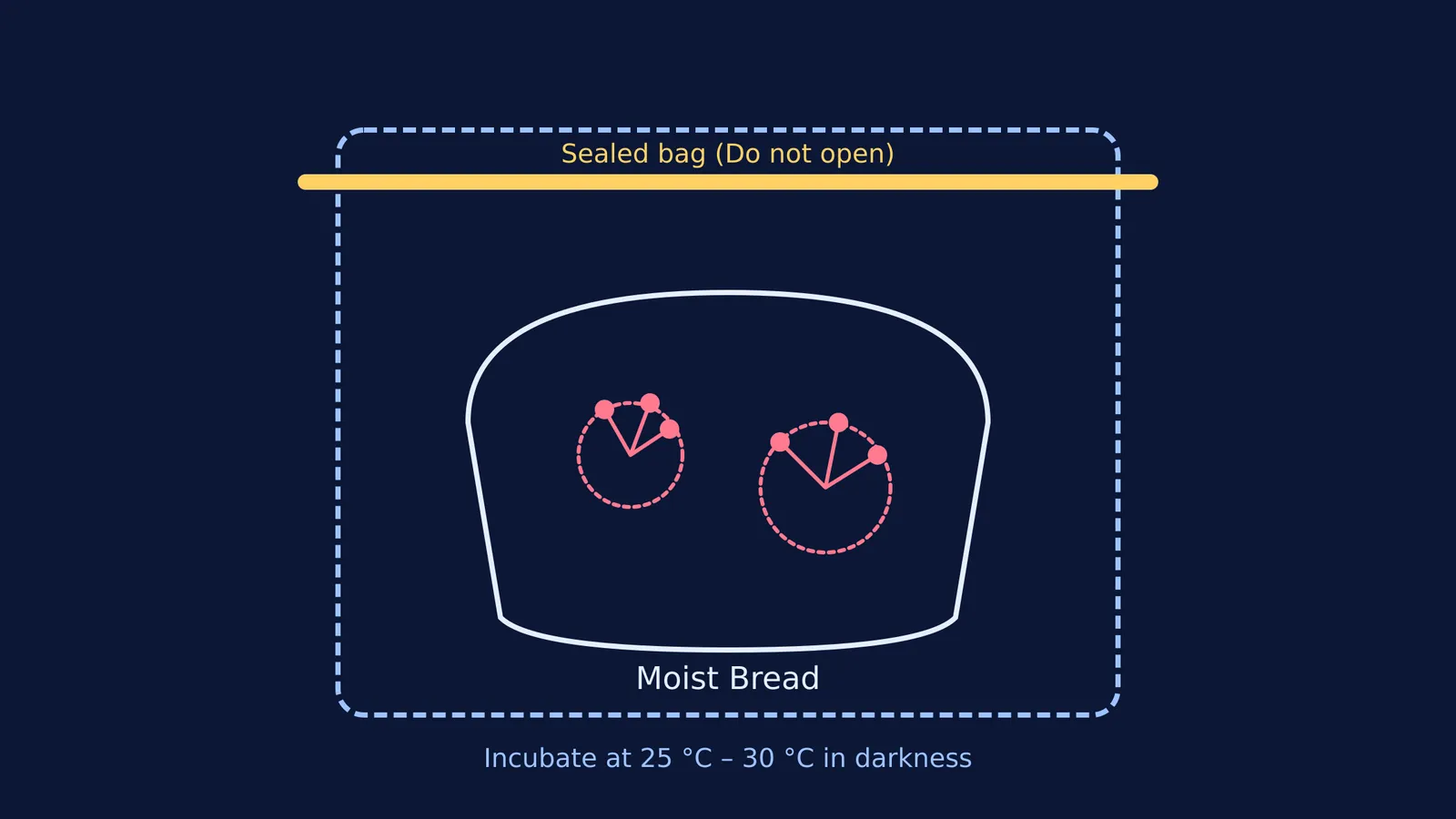 Diagram showing bread mould in a sealed plastic bag