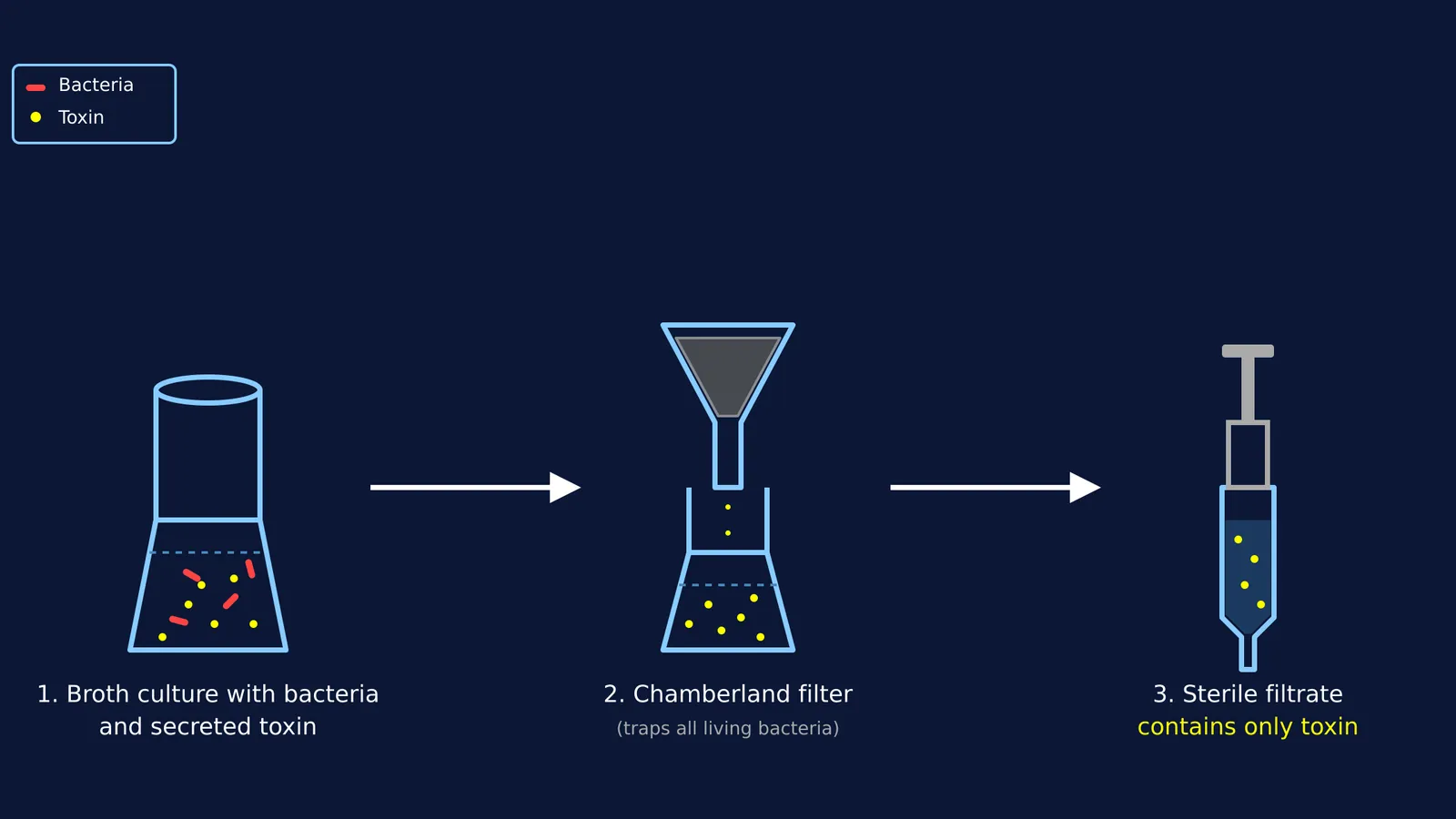 Diagram showing broth with bacteria being filtered to produce sterile filtrate containing only toxin