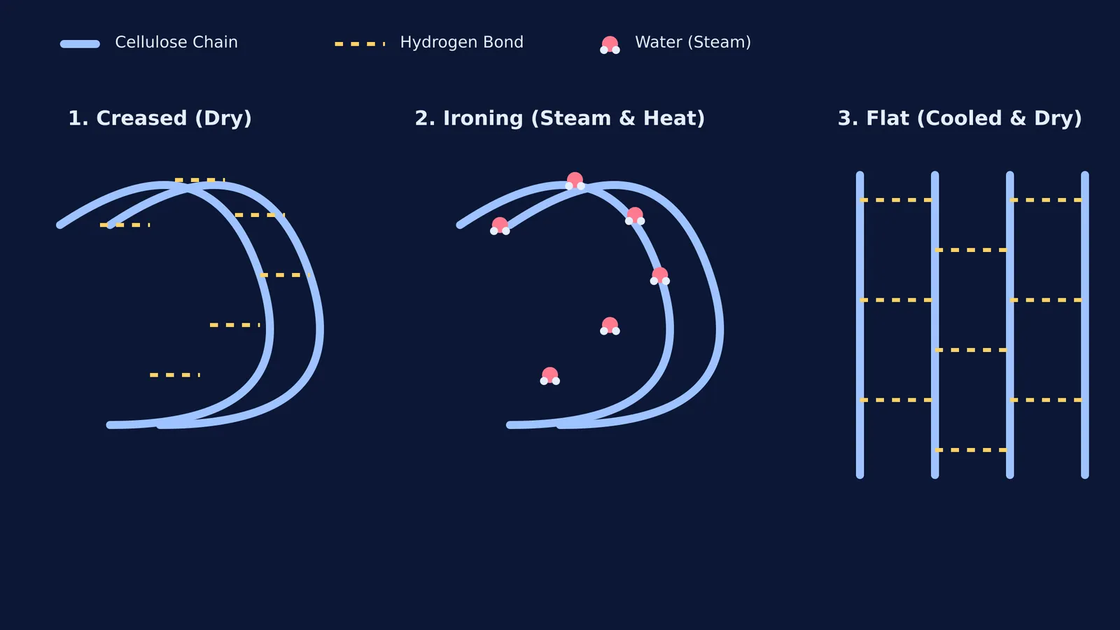Diagram showing cellulose chains and hydrogen bonds breaking under steam and resetting flat