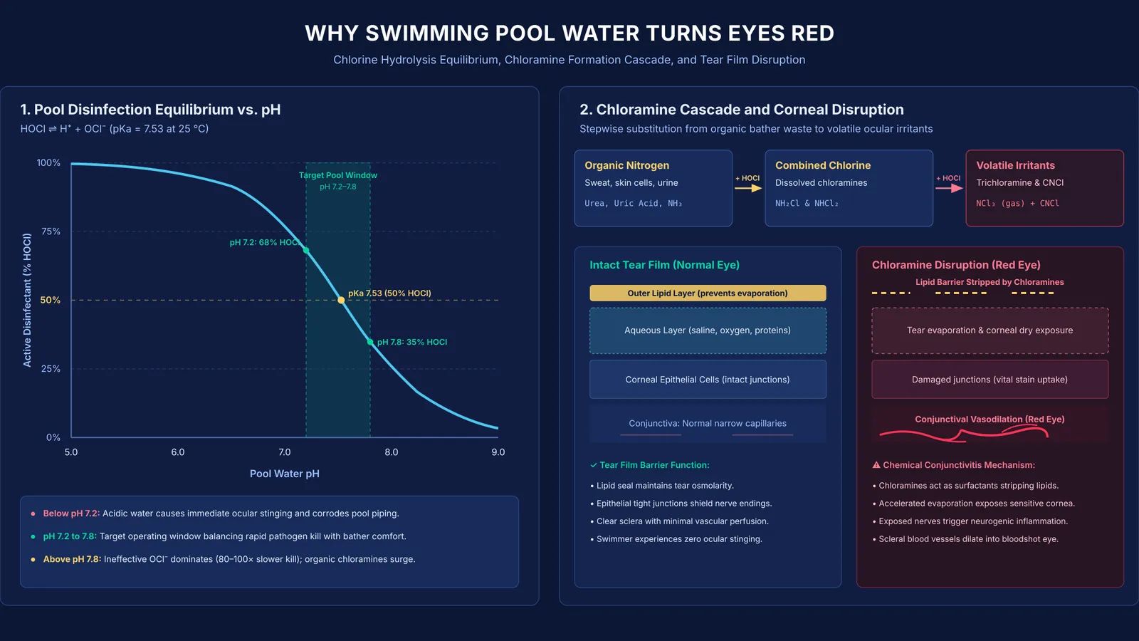 Diagram showing chlorine pH dissociation curve and chloramine cascade causing eye redness