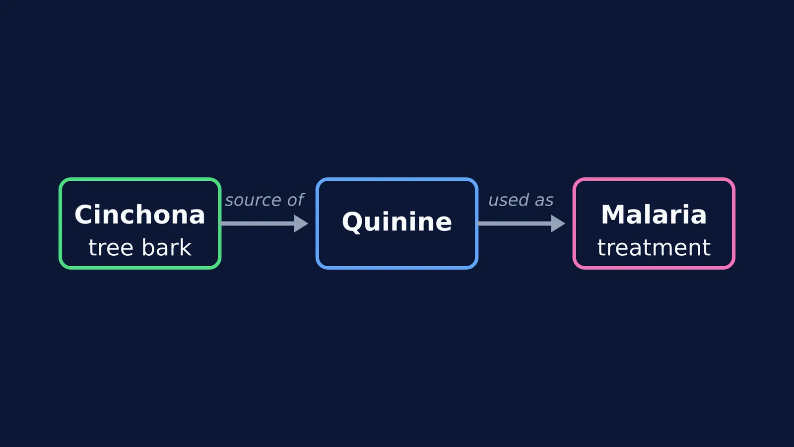Diagram showing cinchona tree bark as the source of quinine used as a malaria treatment